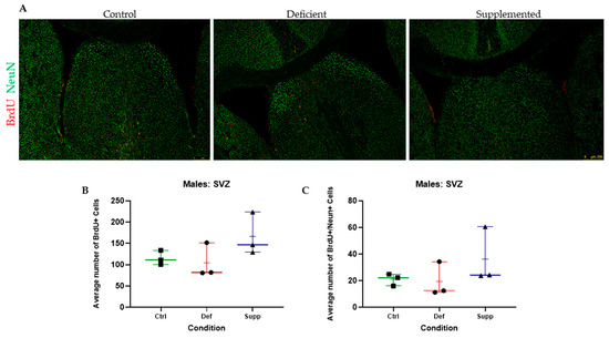 Vitamin D Deficiency Does Not Affect Cognition and