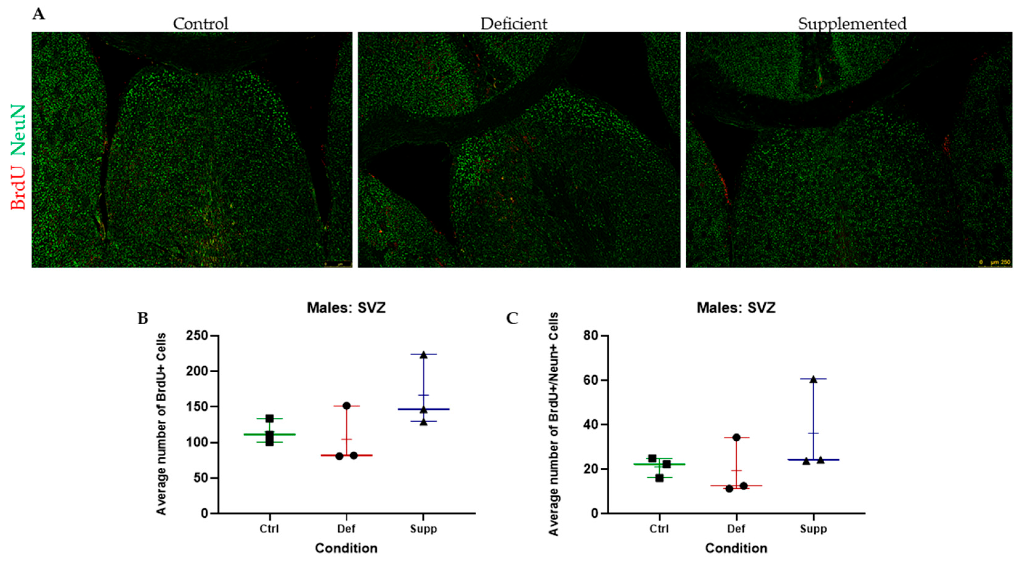 Nutrients 16 02938 g006 Nutrients 16 02938 g006