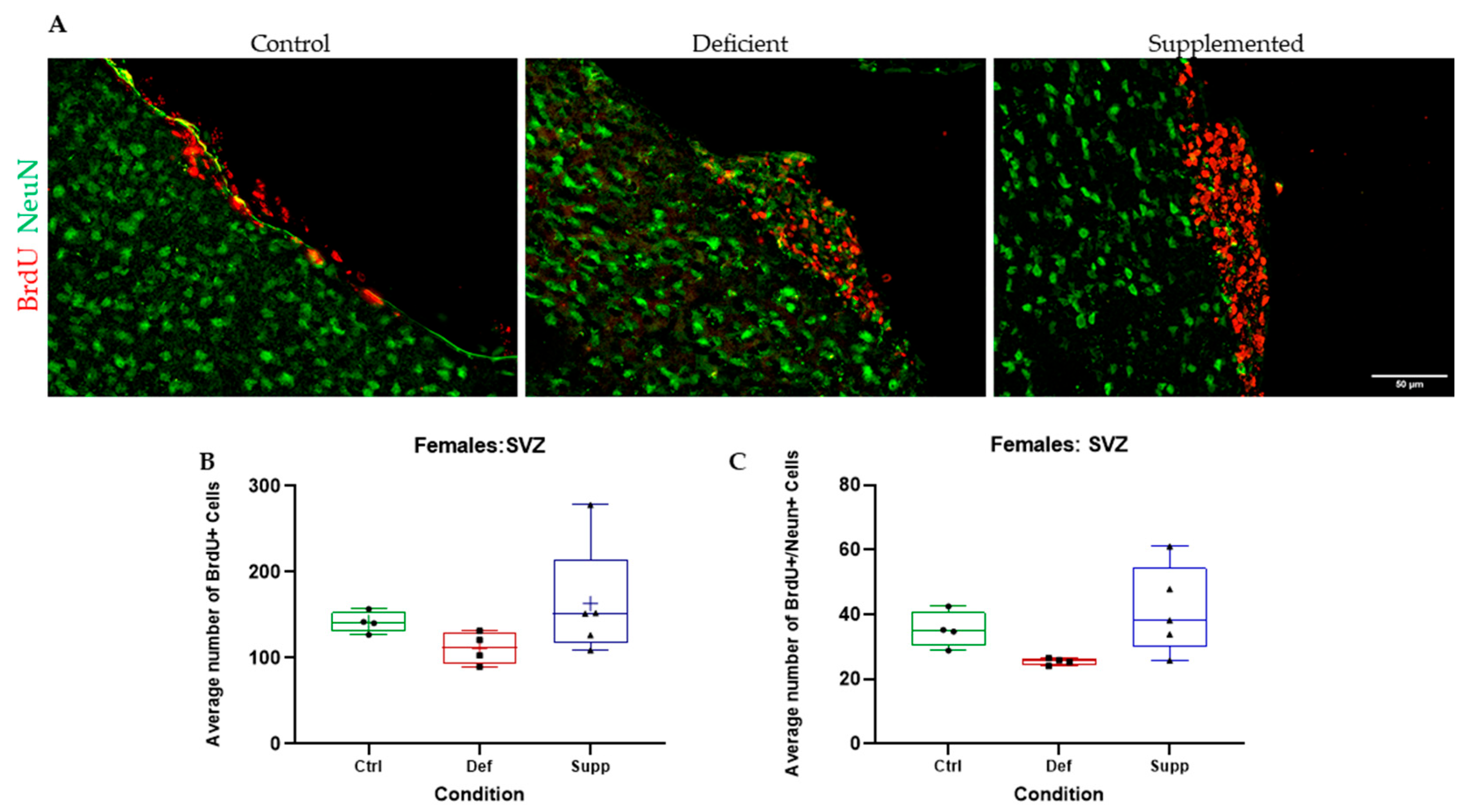 Nutrients 16 02938 g008 Nutrients 16 02938 g008