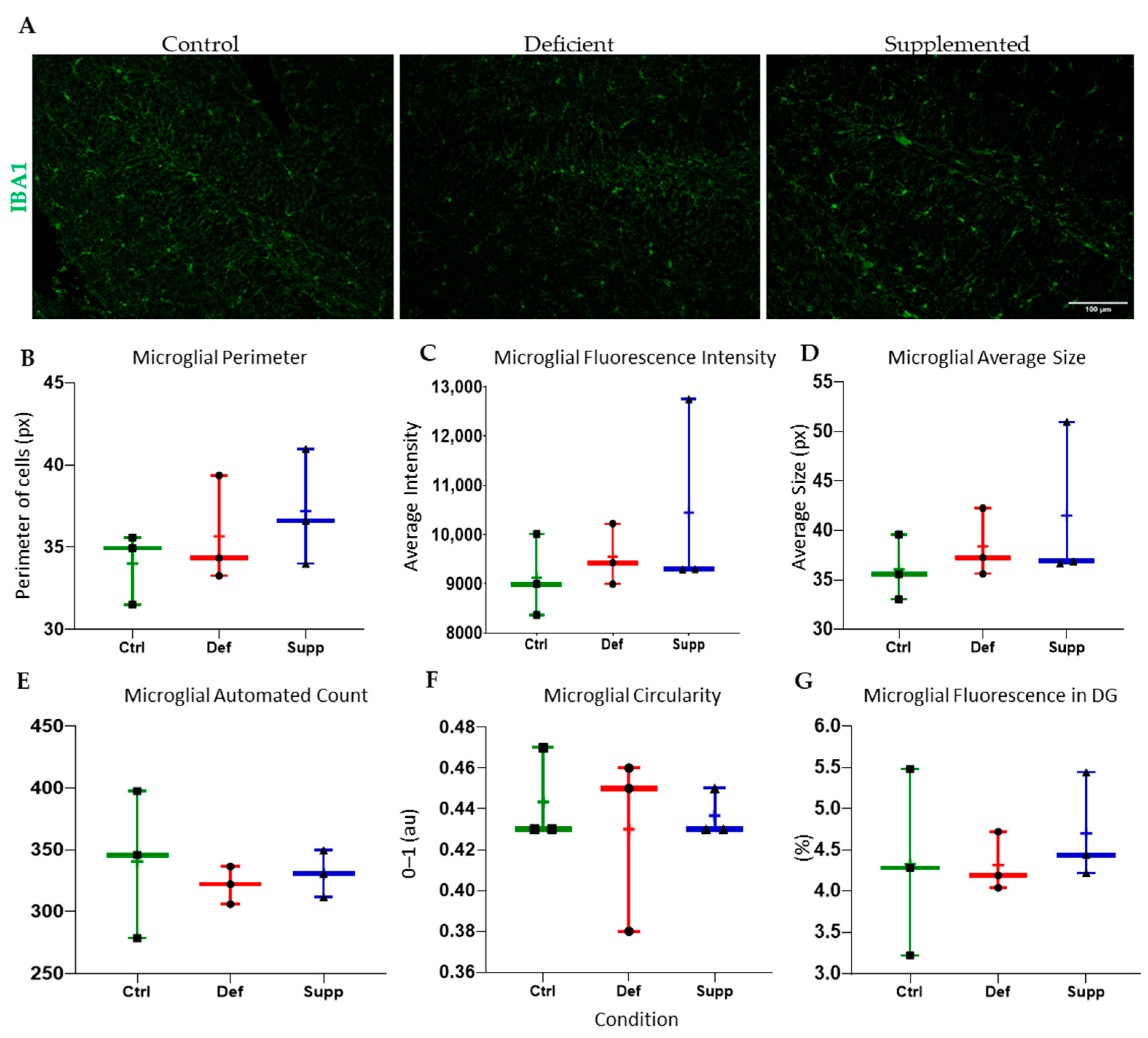 Nutrients 16 02938 g009 Nutrients 16 02938 g009
