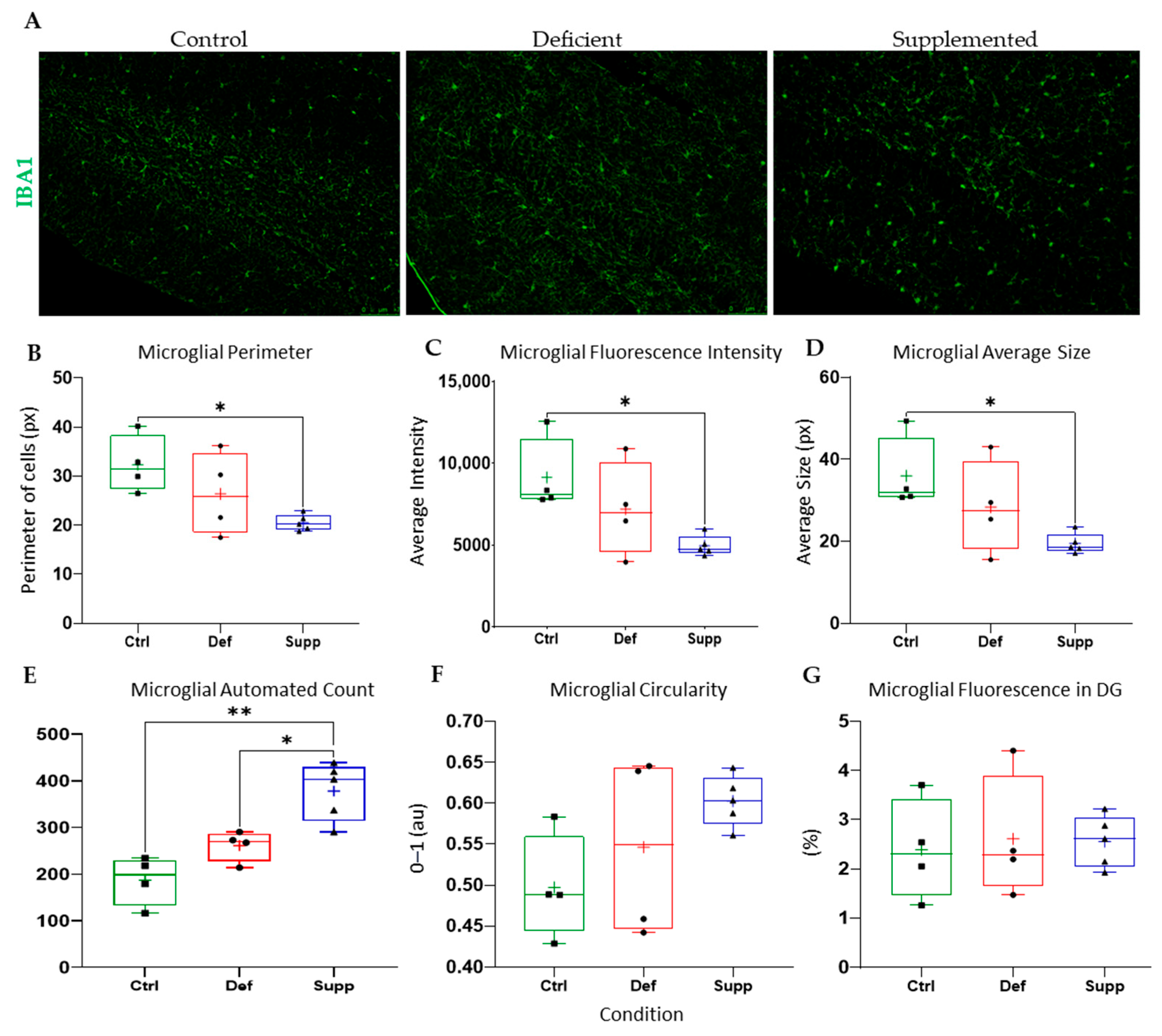 Nutrients 16 02938 g010 Nutrients 16 02938 g010