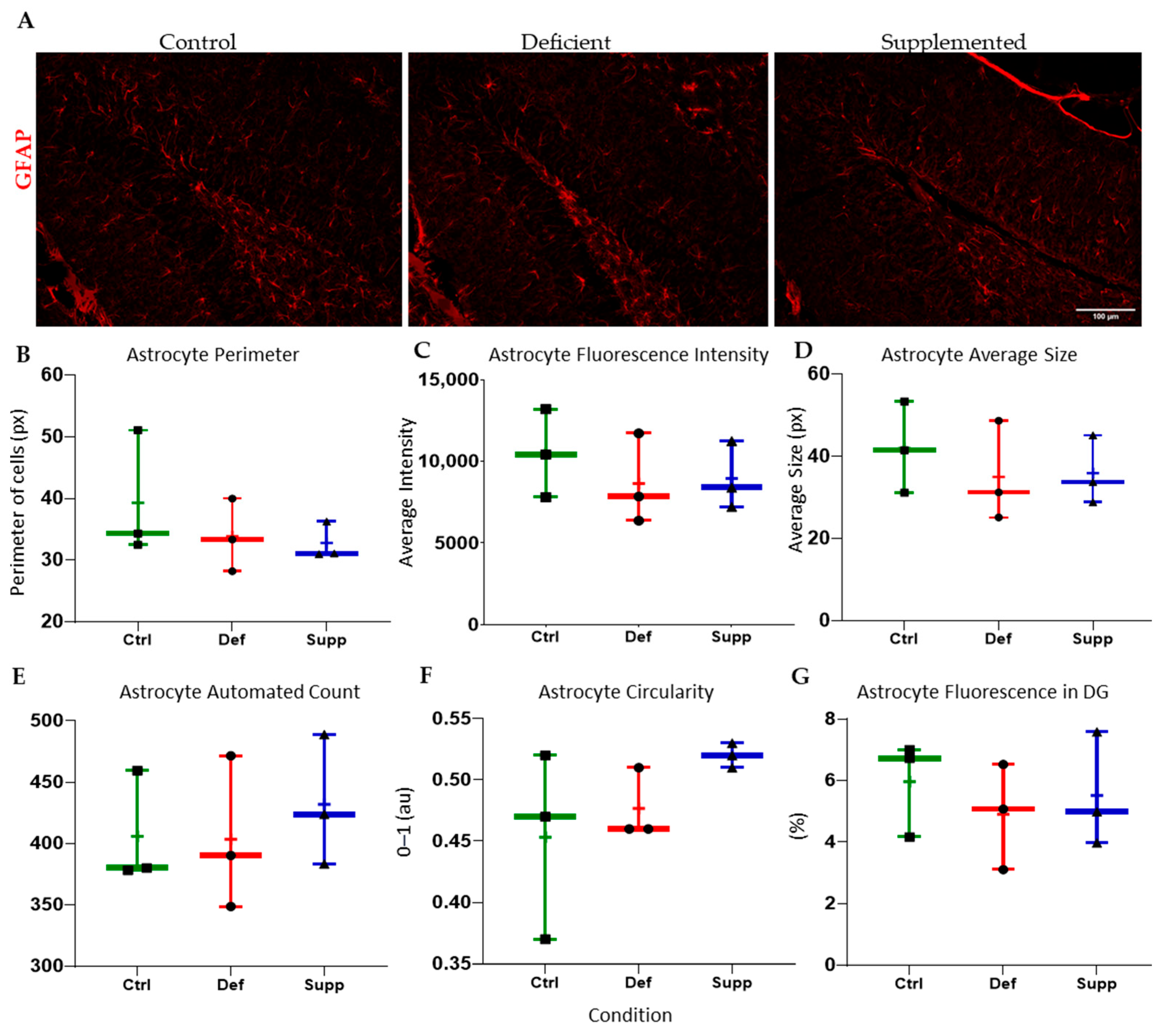 Nutrients 16 02938 g011 Nutrients 16 02938 g011