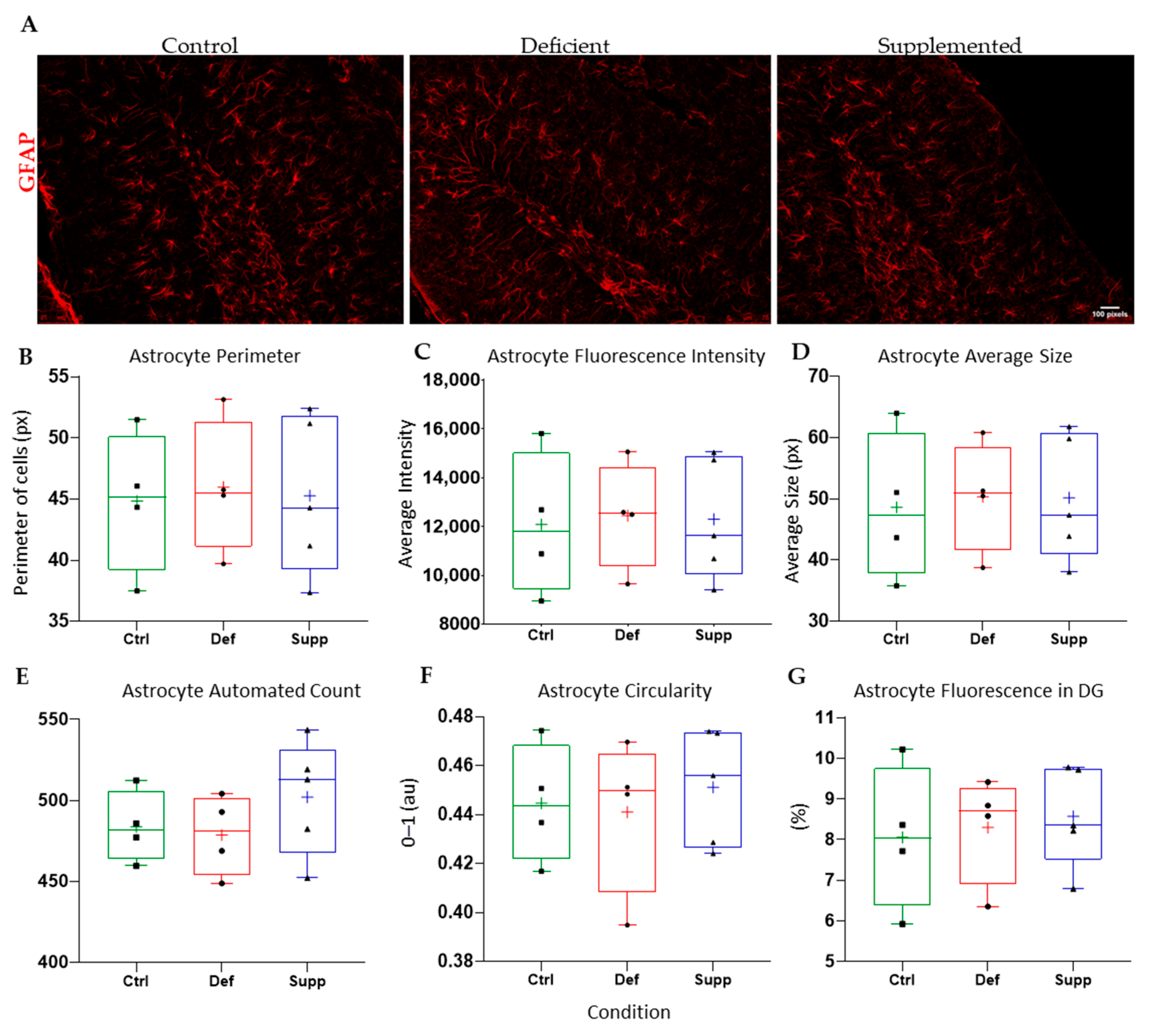 Nutrients 16 02938 g012 Nutrients 16 02938 g012