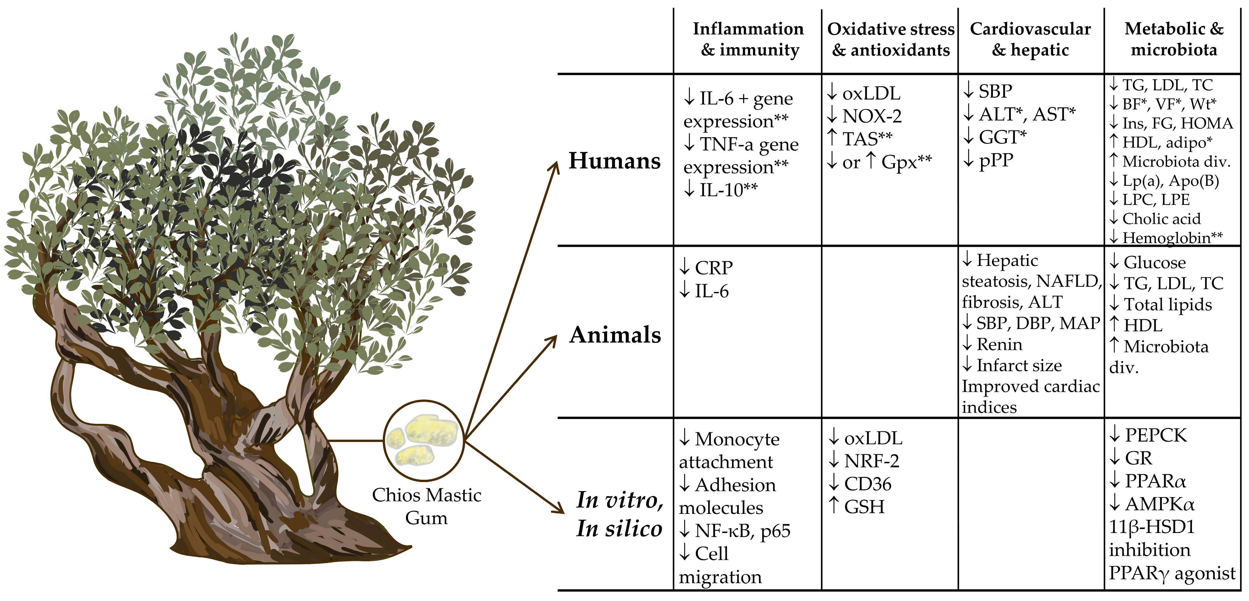 Nutrients 16 02941 g001