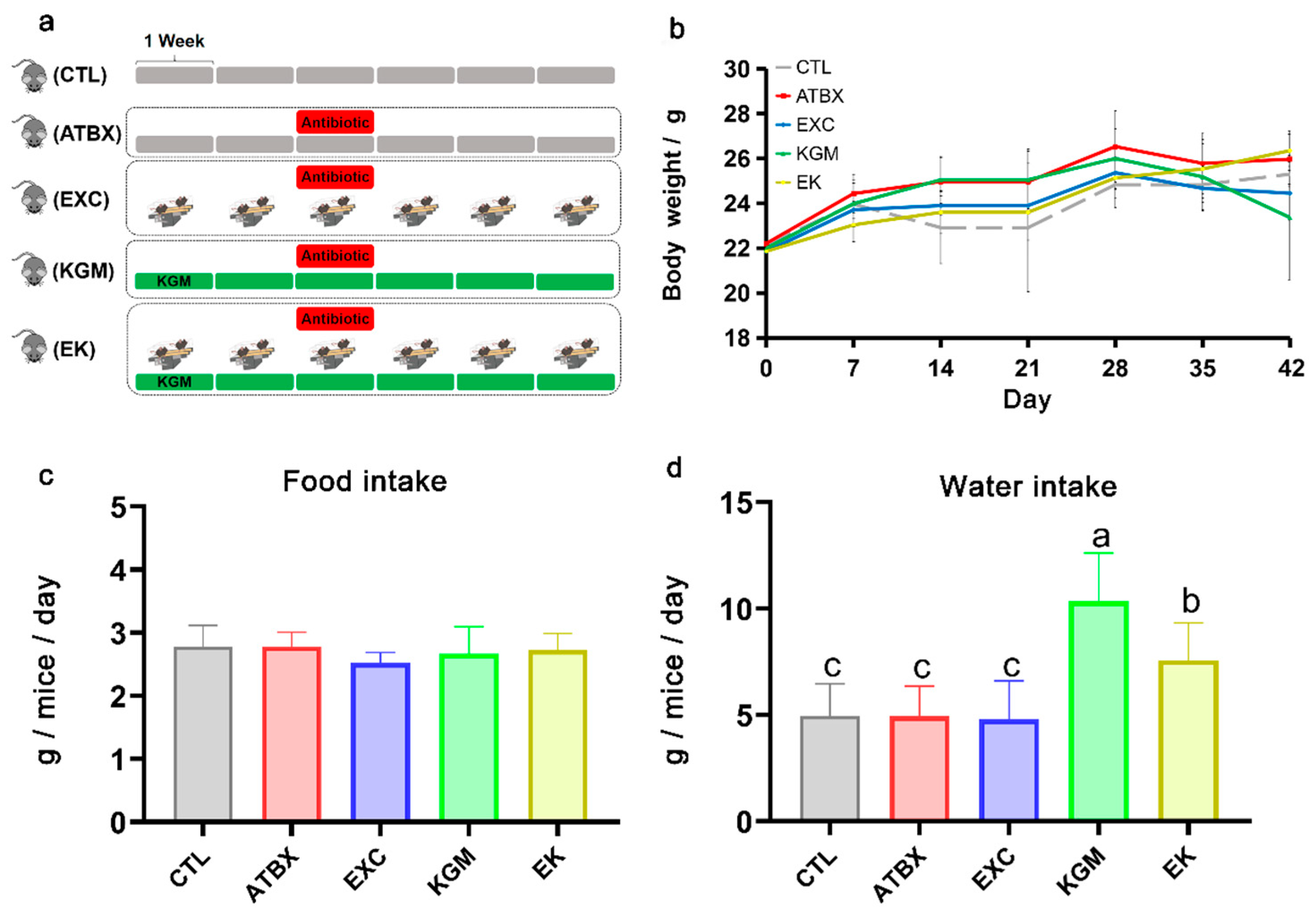 Nutrients 16 02942 g001