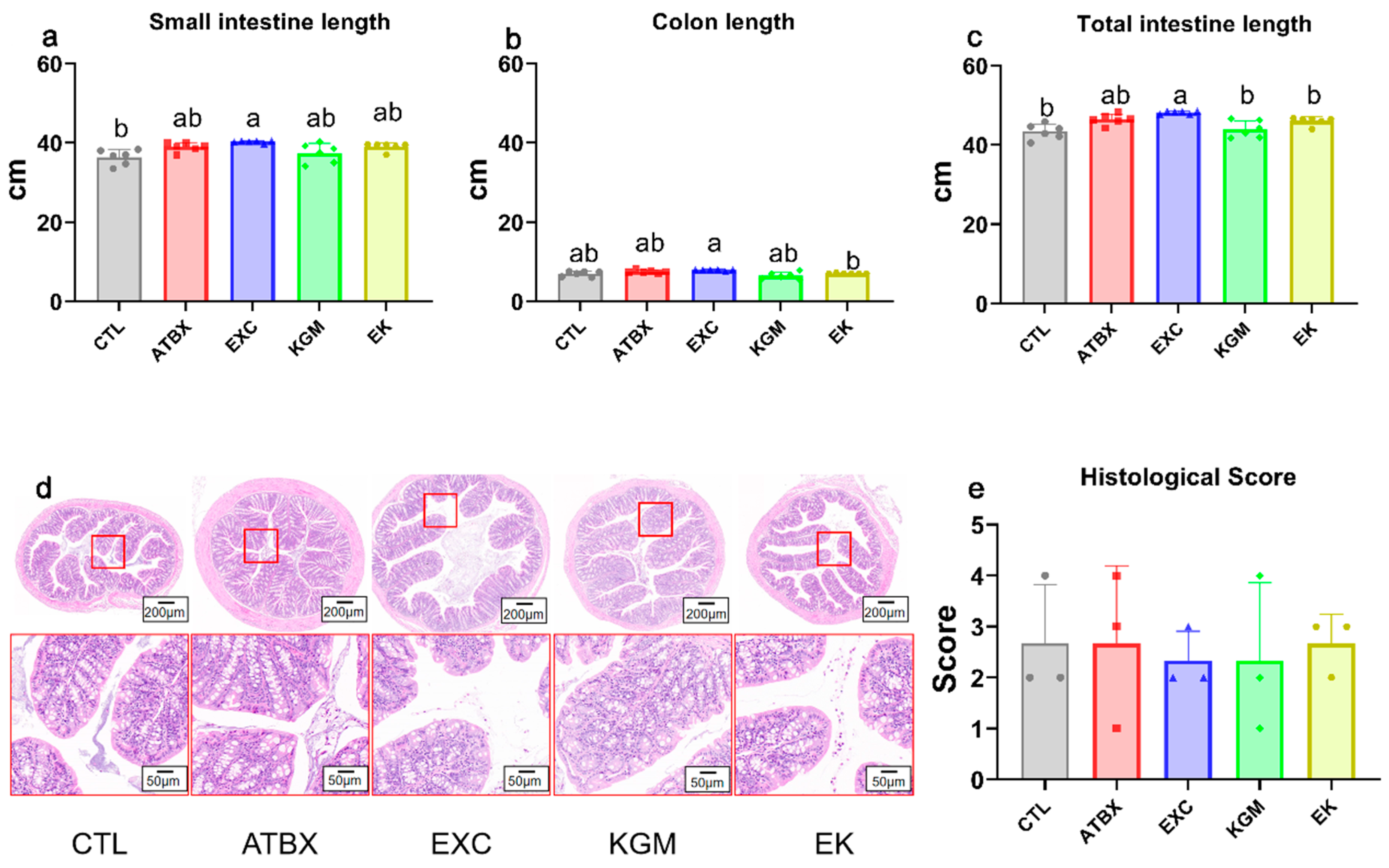 Nutrients 16 02942 g002