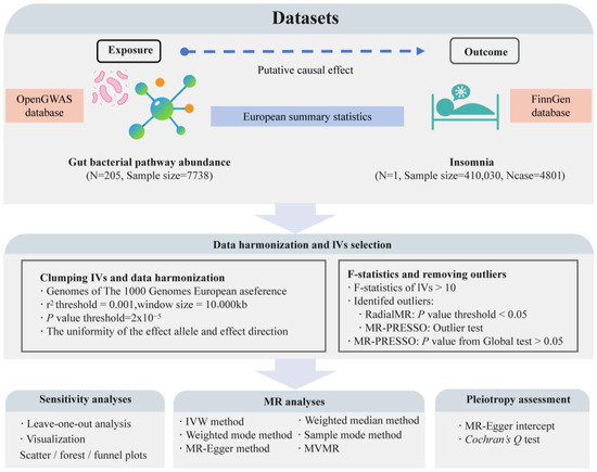 Metabolic Characteristics of Gut Microbiota and Insomnia: Evidence 