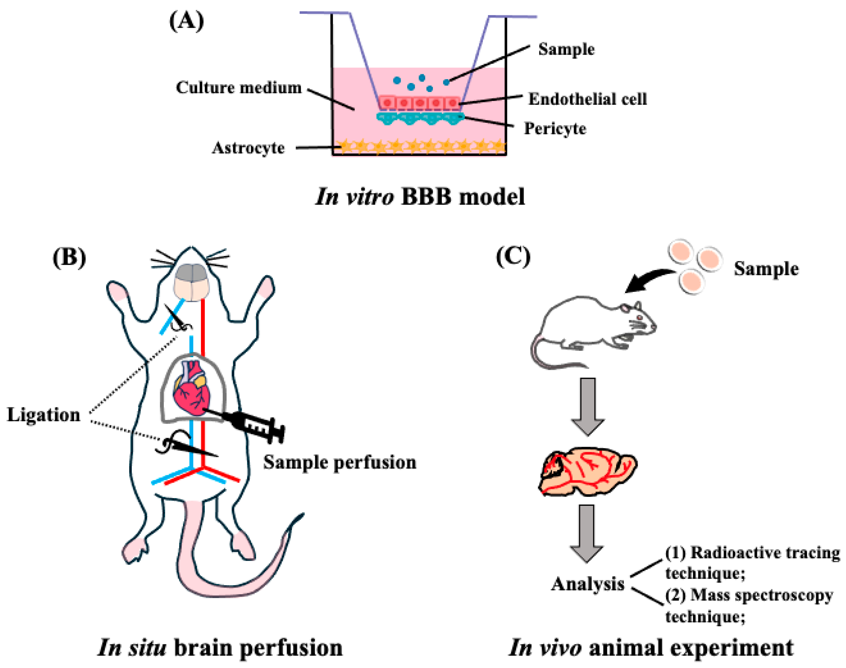 Nutrients 16 02947 g003