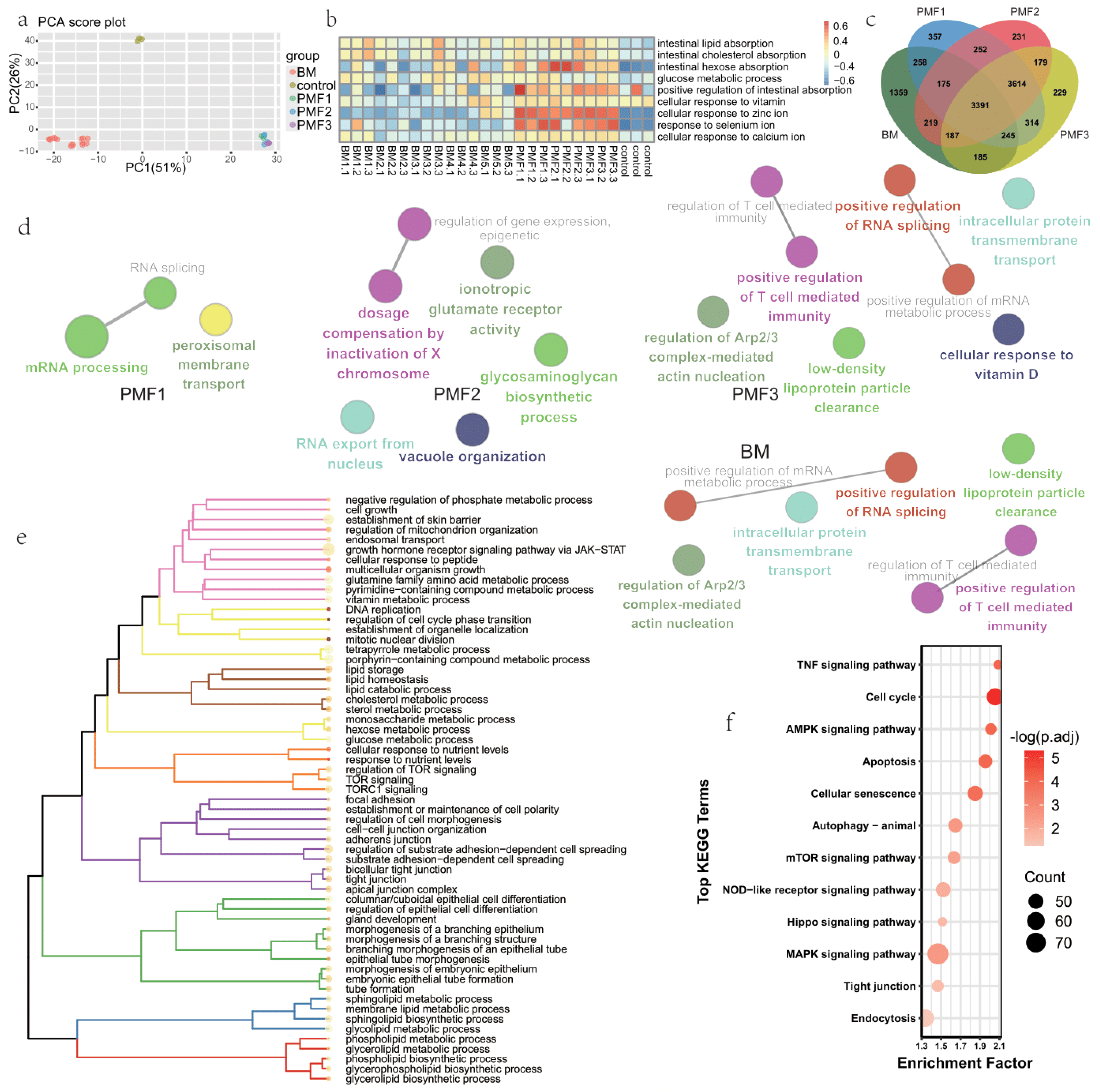 Nutrients 16 02951 g001
