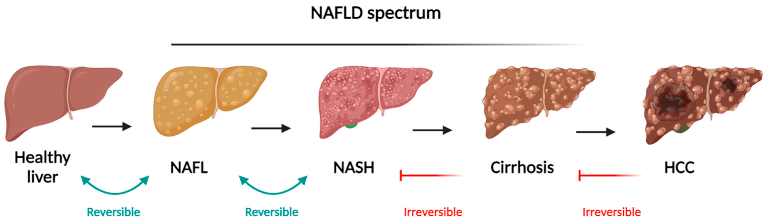 Nutrients 16 02956 g001
