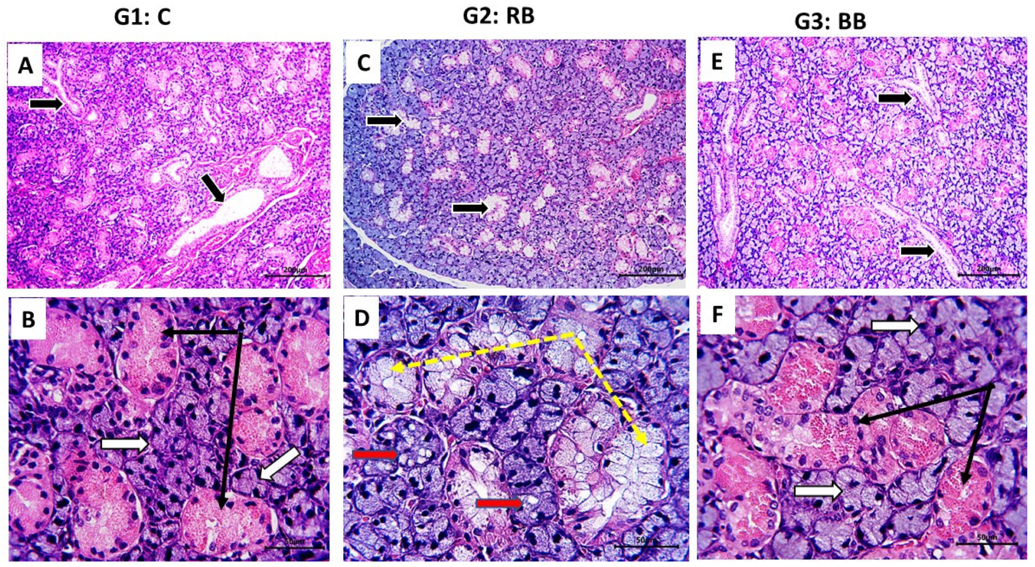 Nutrients 16 02958 g004