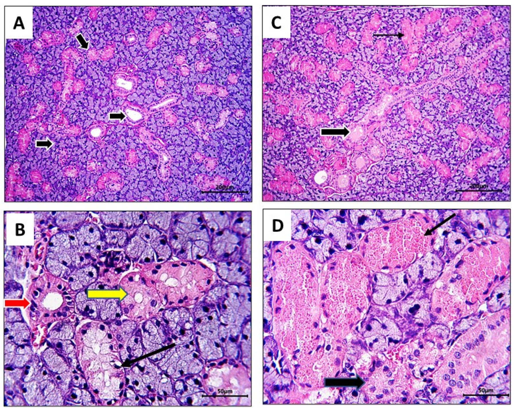 Nutrients 16 02958 g006