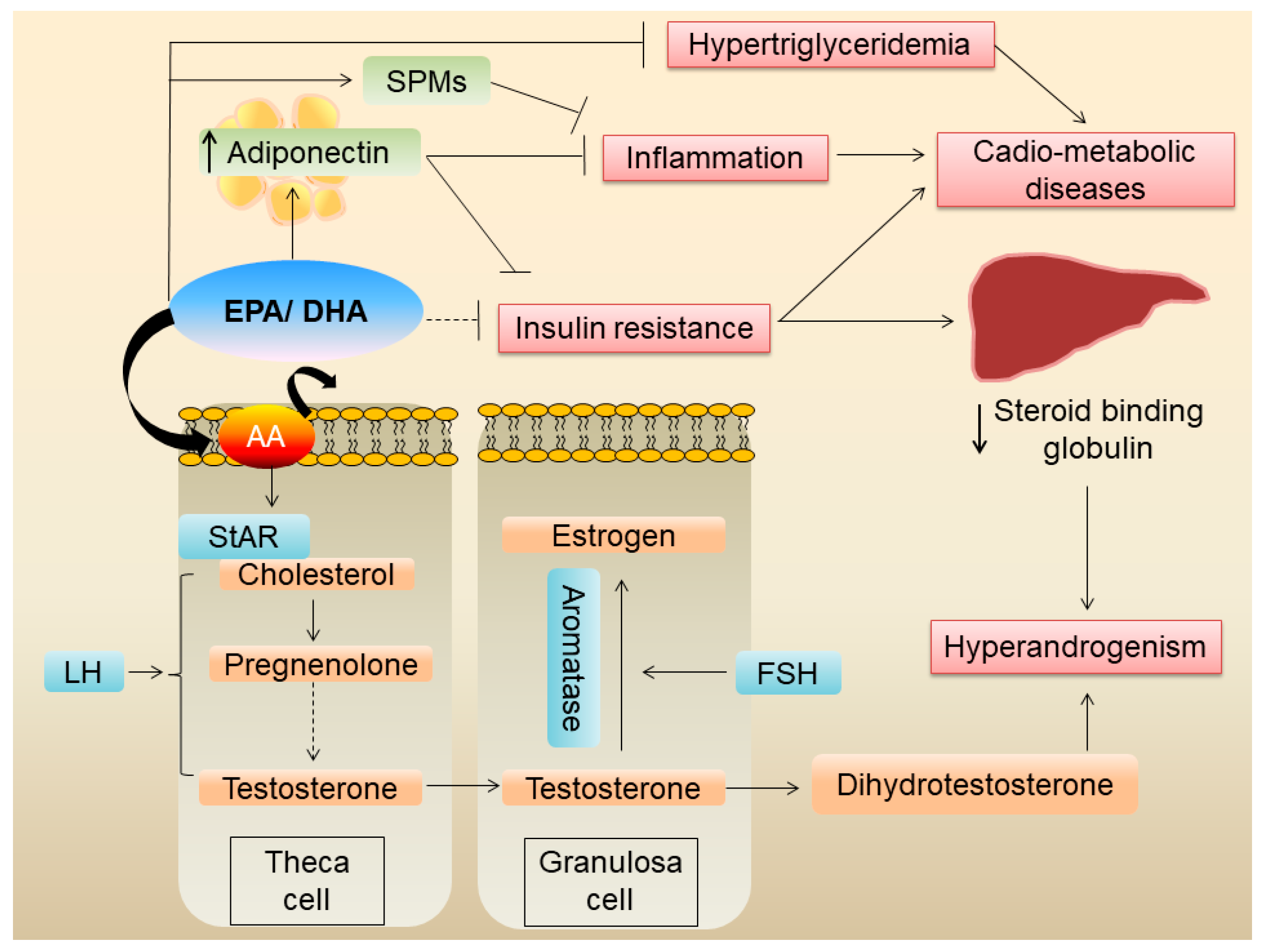 Nutrients 16 02961 g002