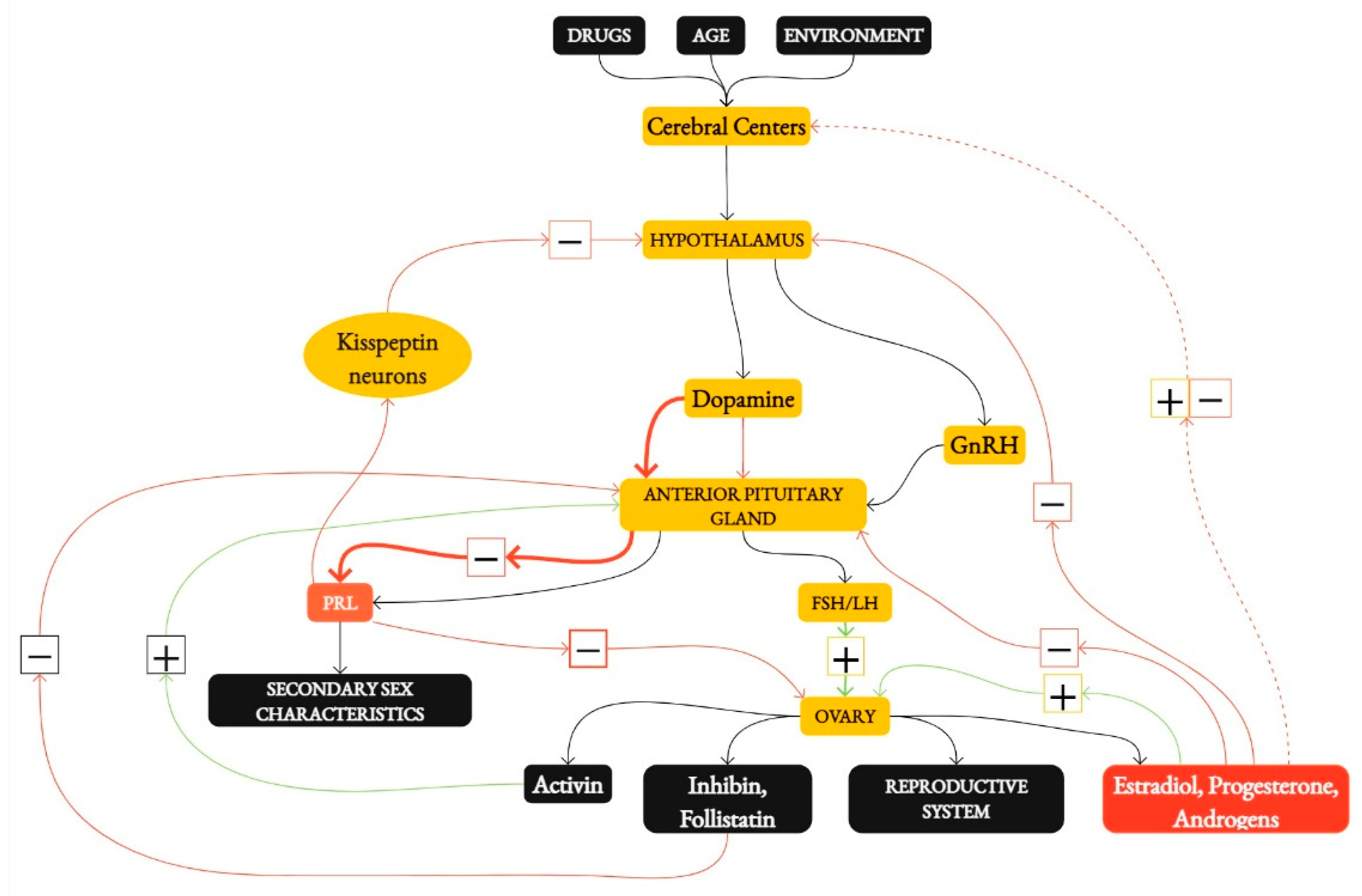 Nutrients 16 02967 g001