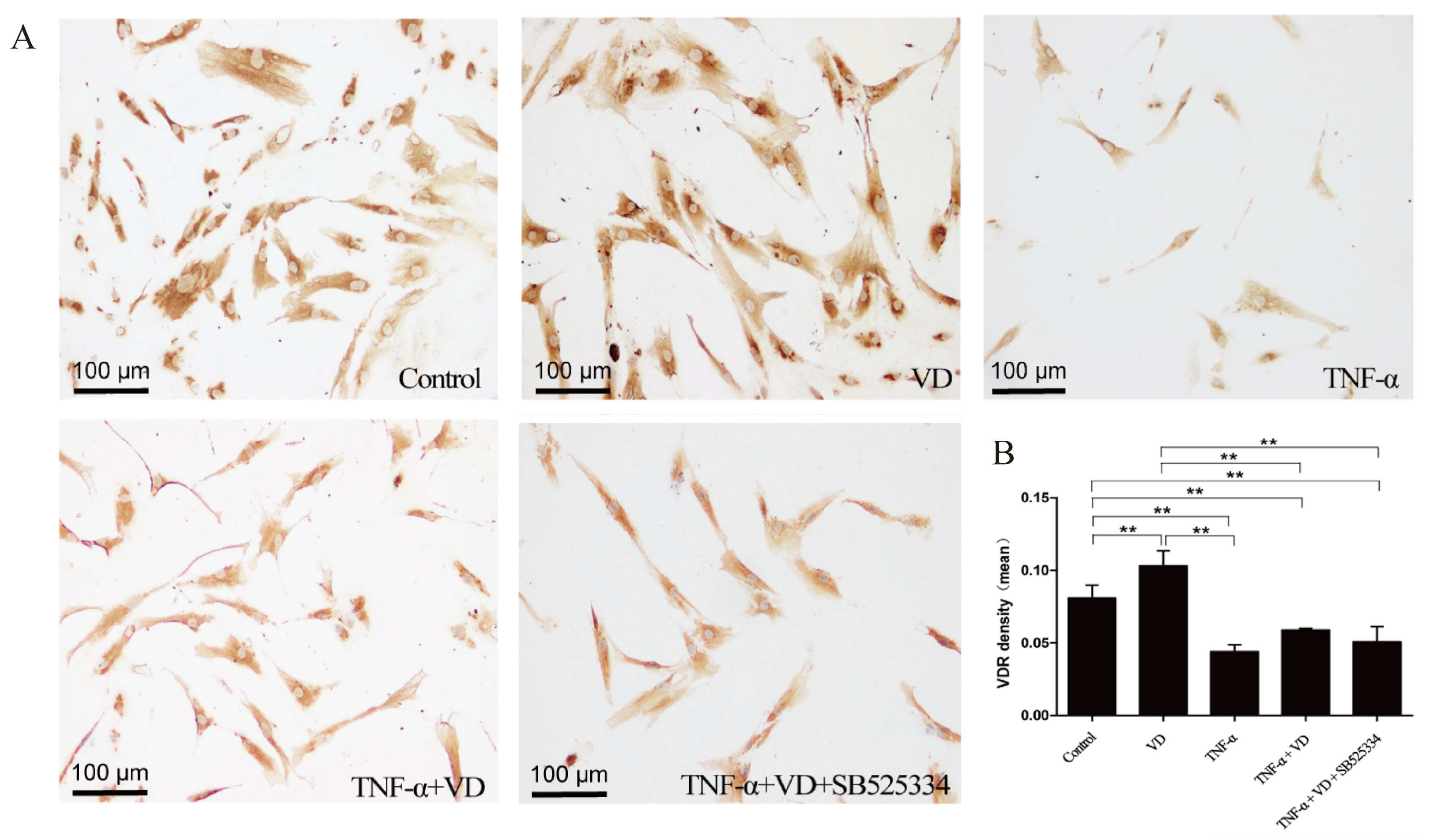 Nutrients 16 02991 g004