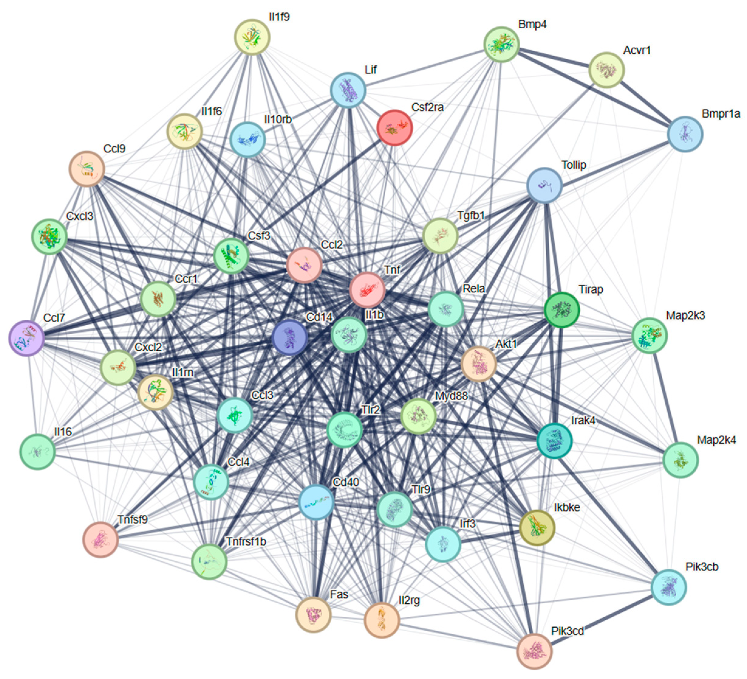 Nutrients 16 03014 g006