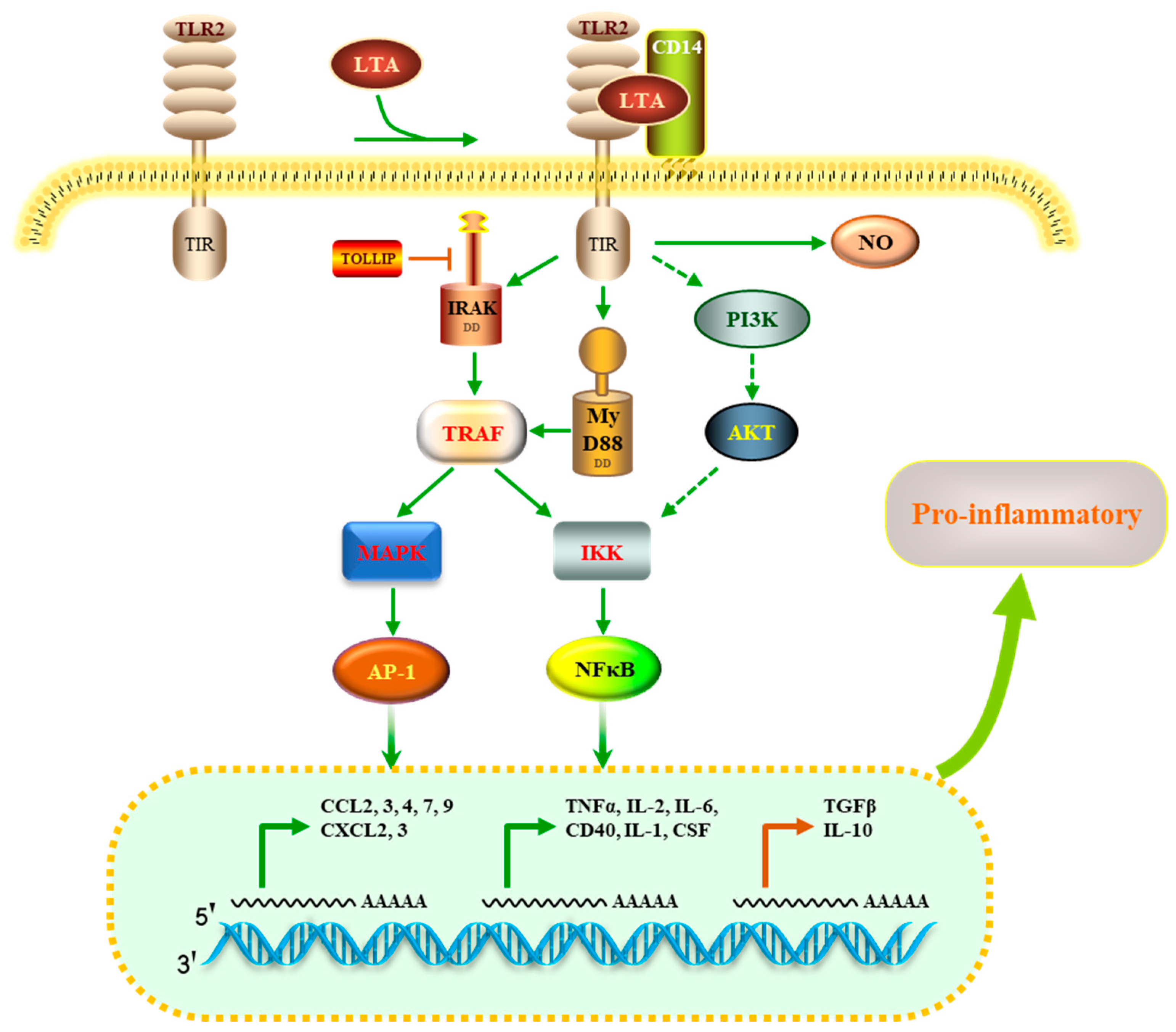 Nutrients 16 03014 g009