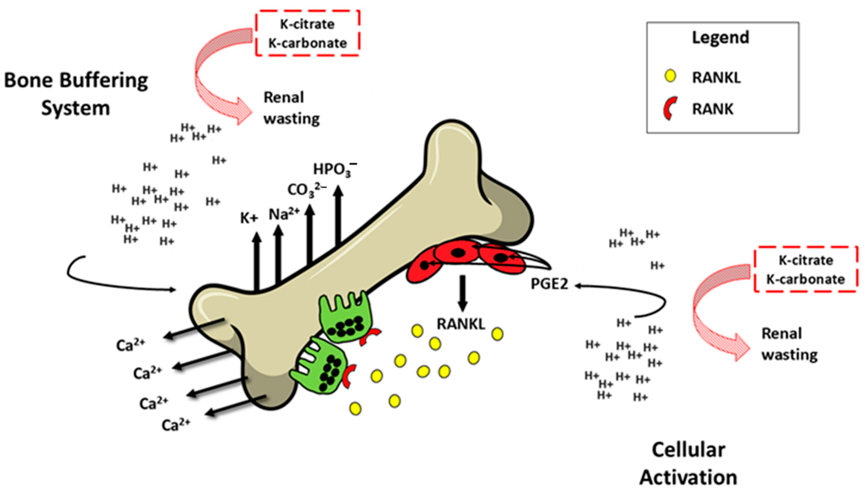 Nutrients 16 03016 g003