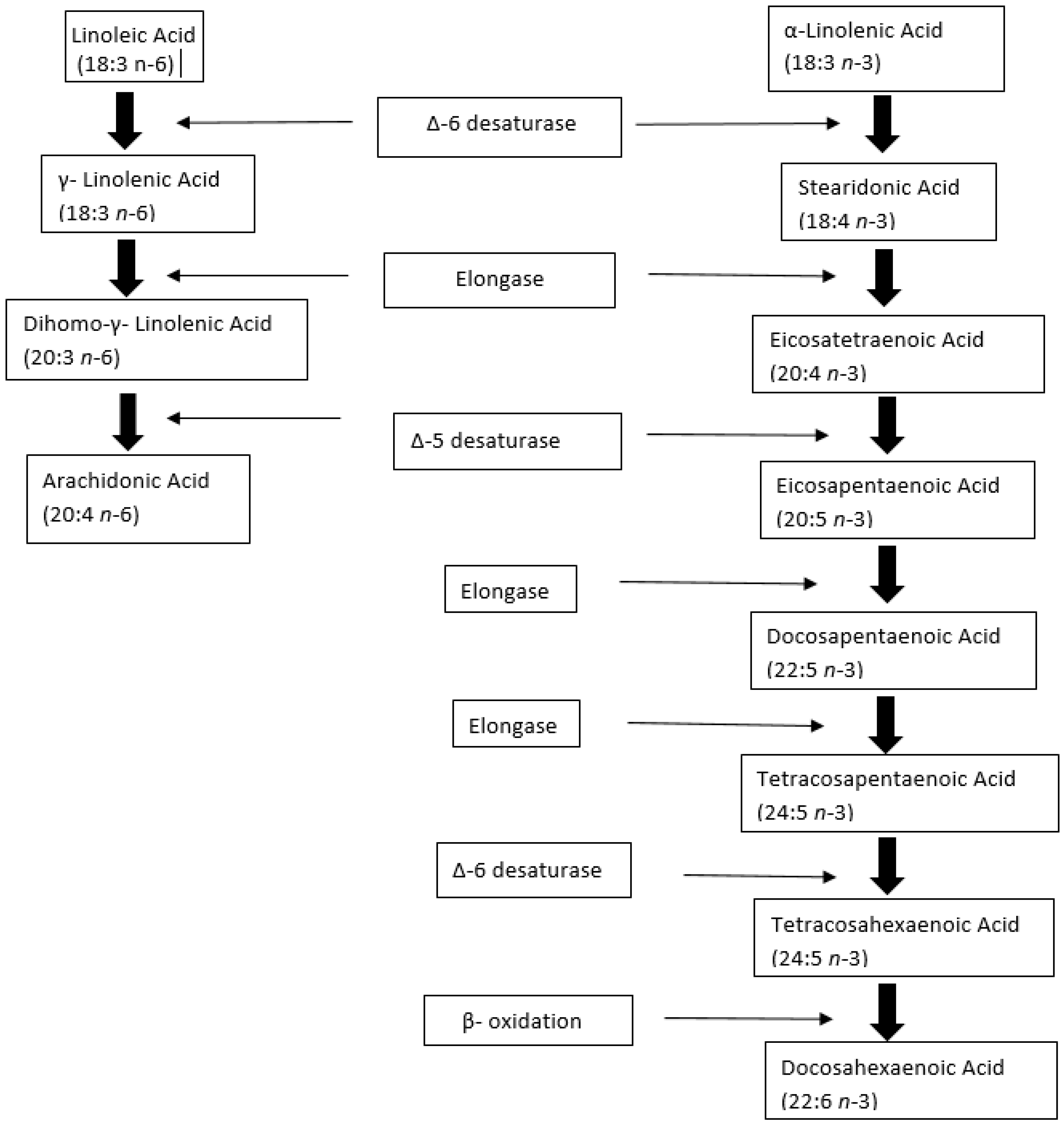 Nutrients 16 03019 g002