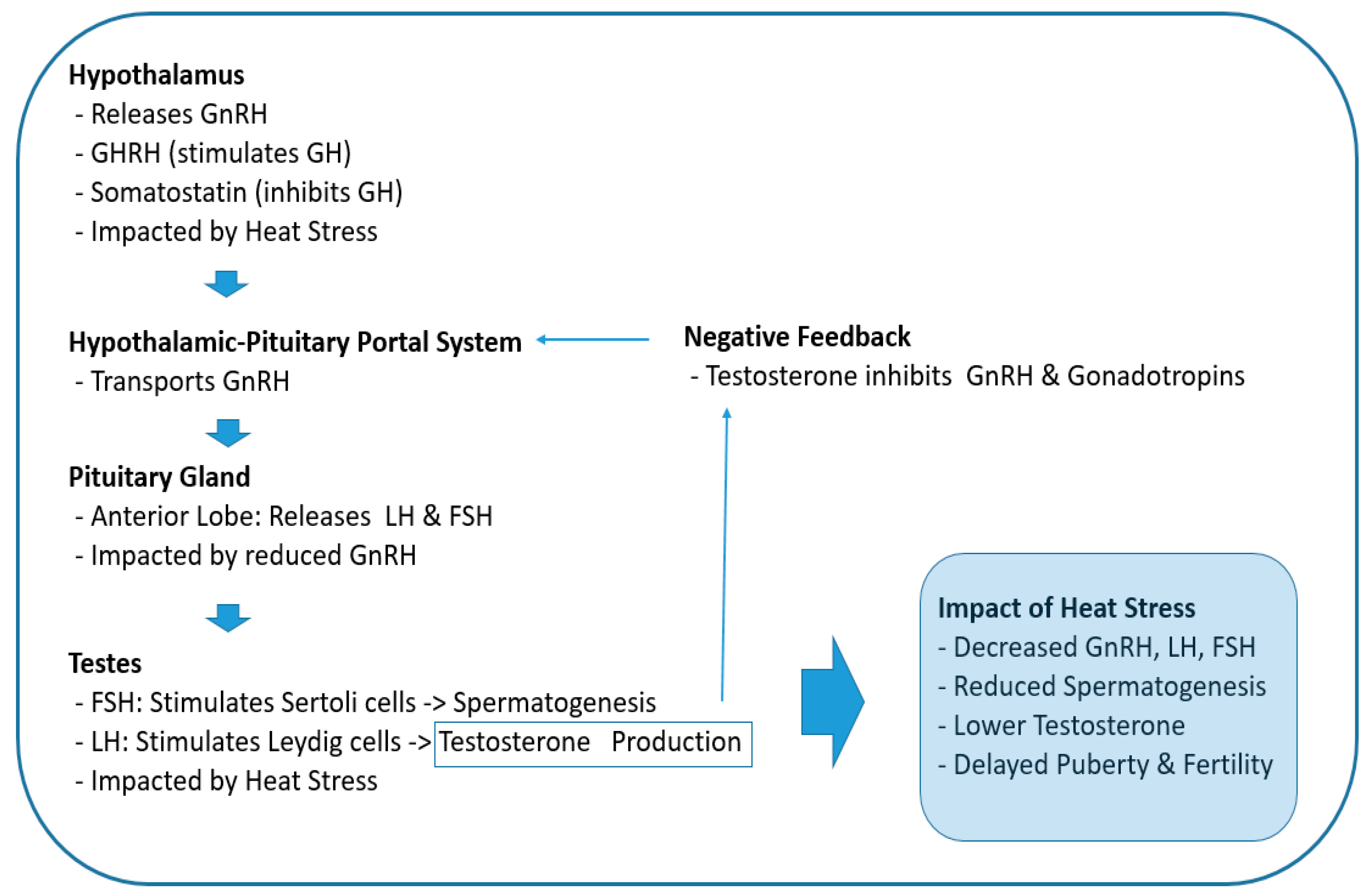 Nutrients 16 03032 g002 Nutrients 16 03032 g002