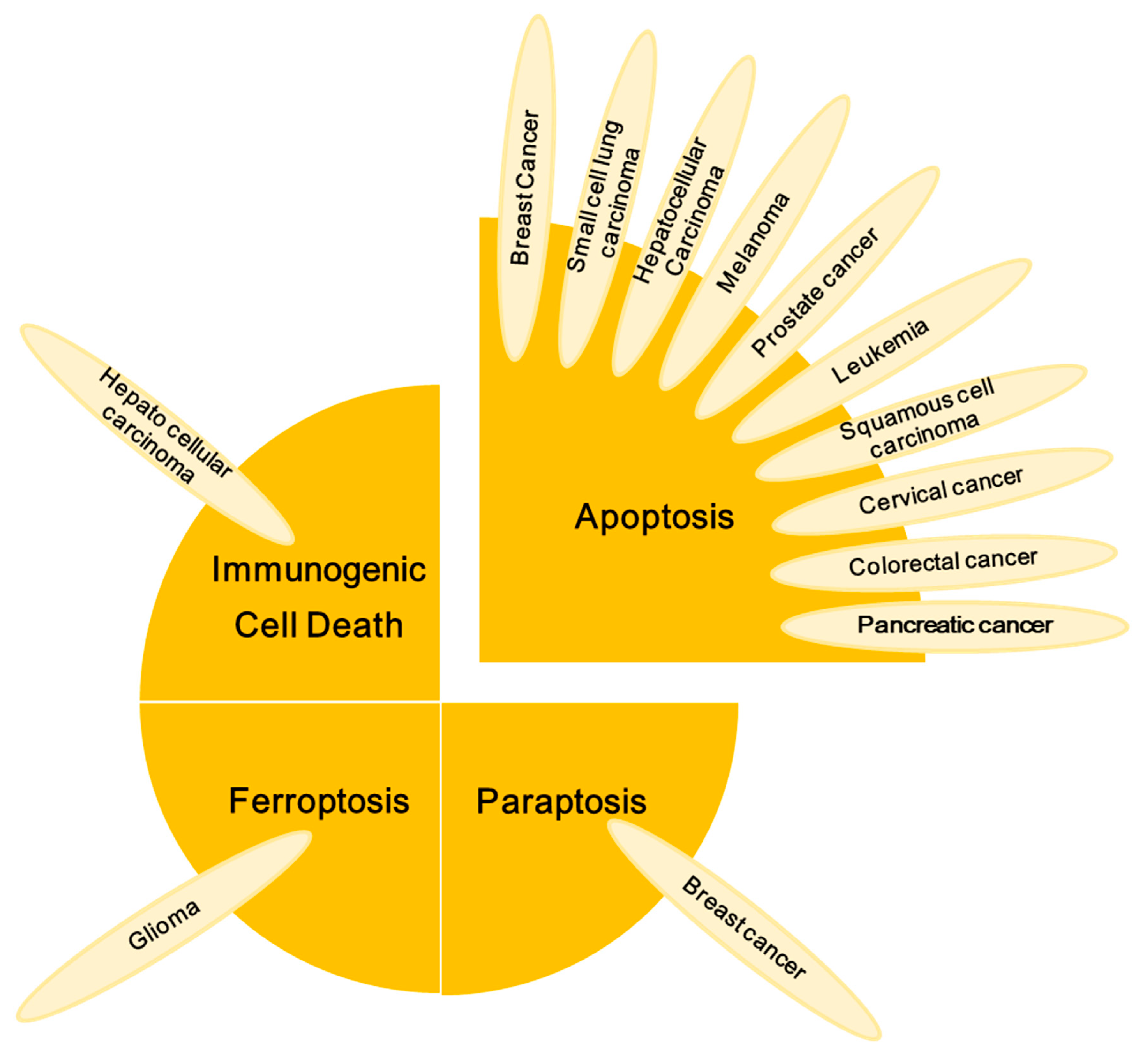 Advances in Polysaccharide Production Based on the Co
