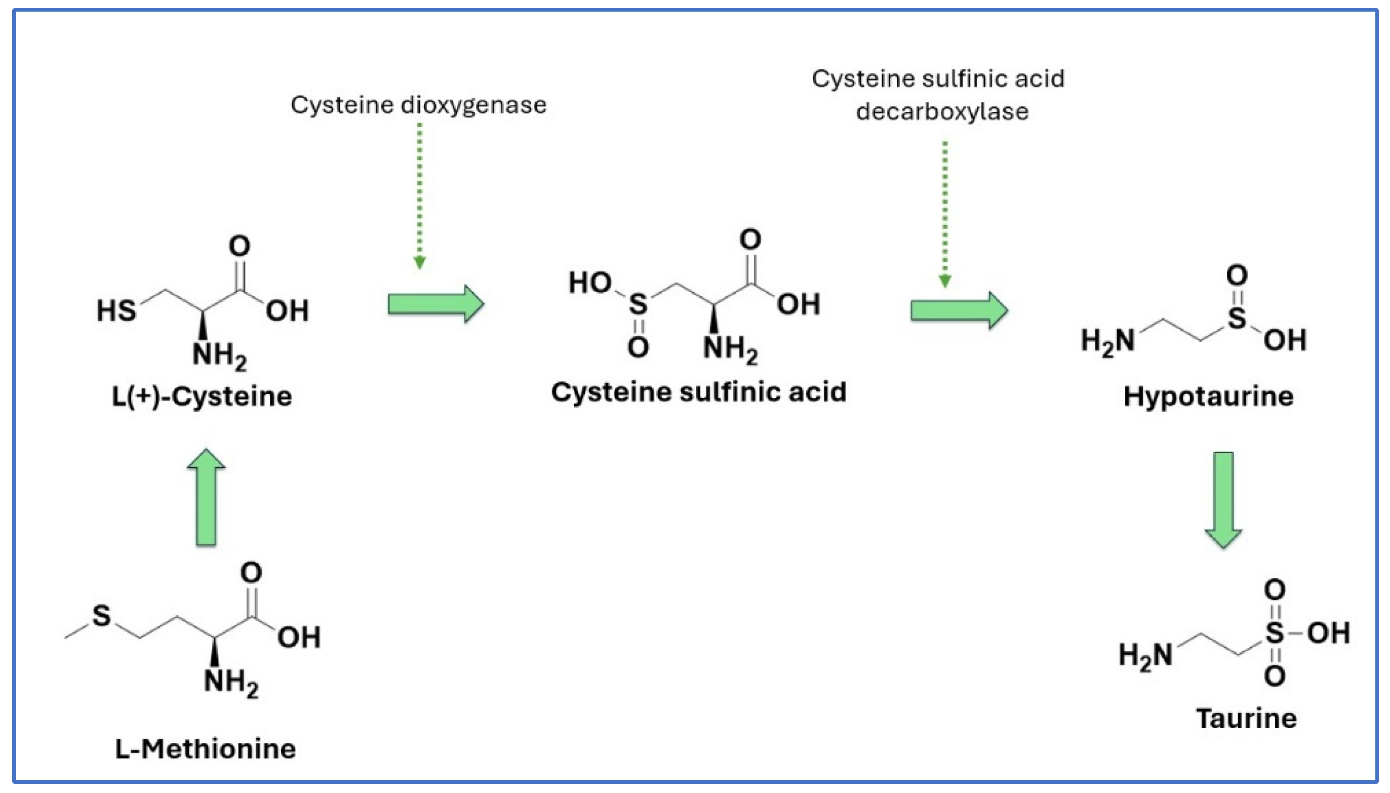 Nutrients 16 03047 g001