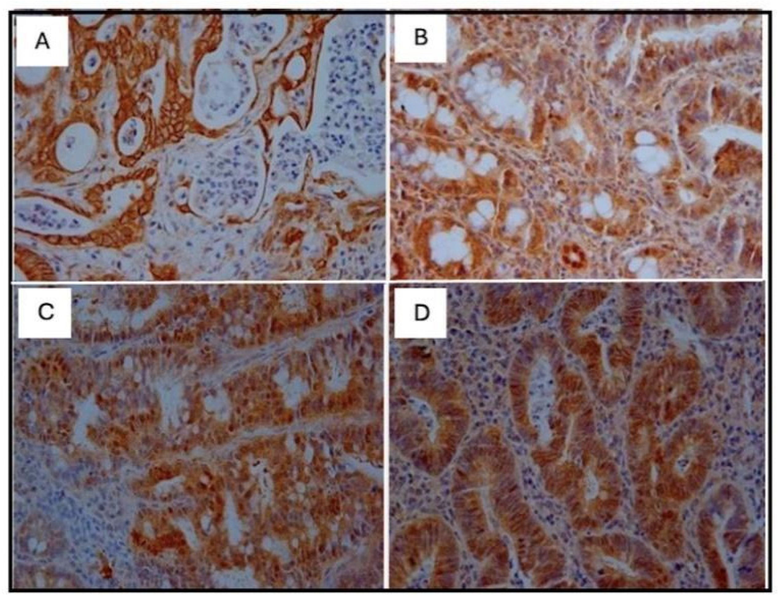 Nutrients 16 03047 g008
