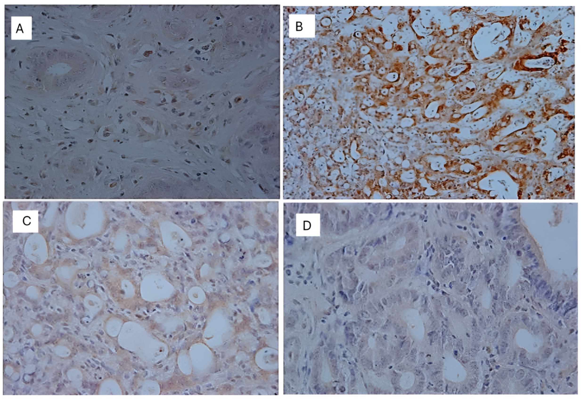 Nutrients 16 03047 g009