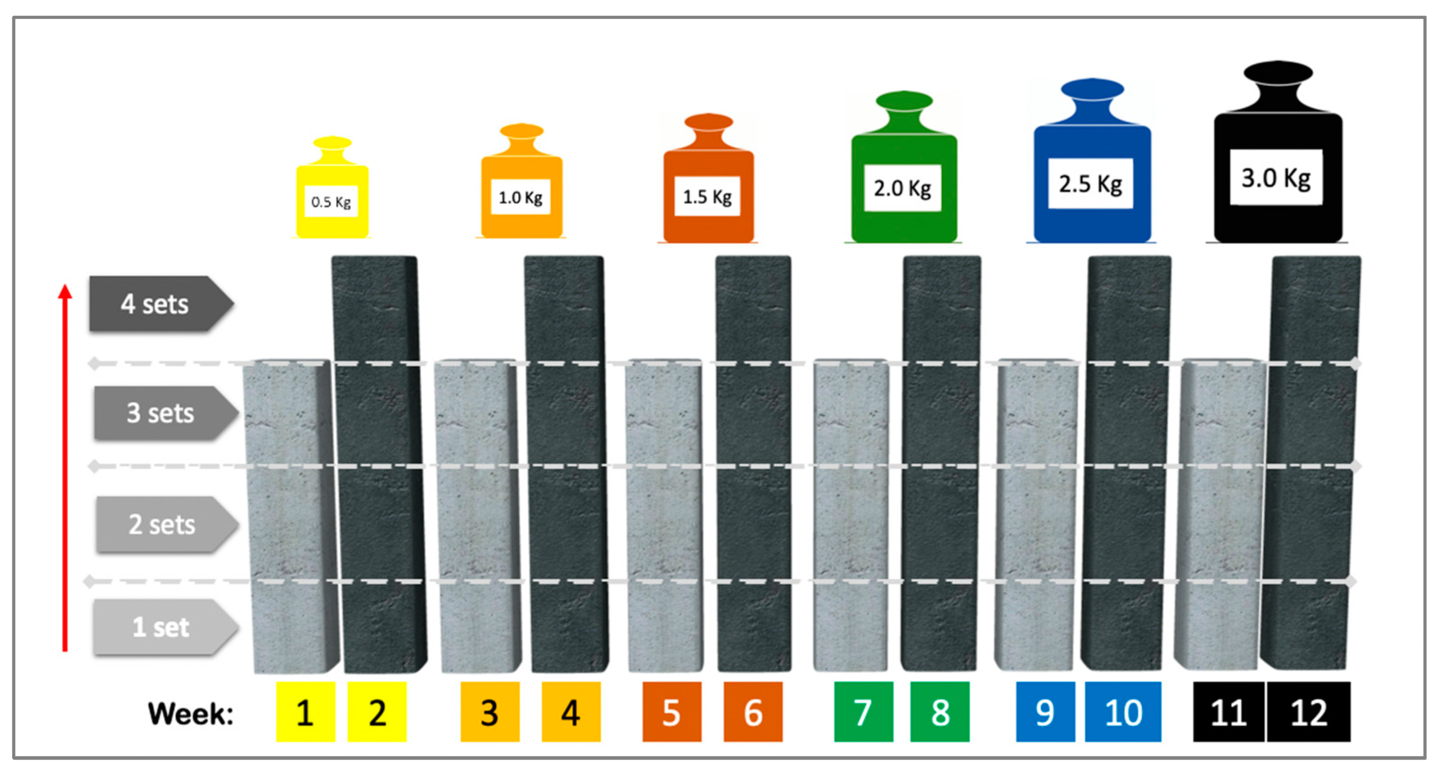 Nutrients 16 03053 g002