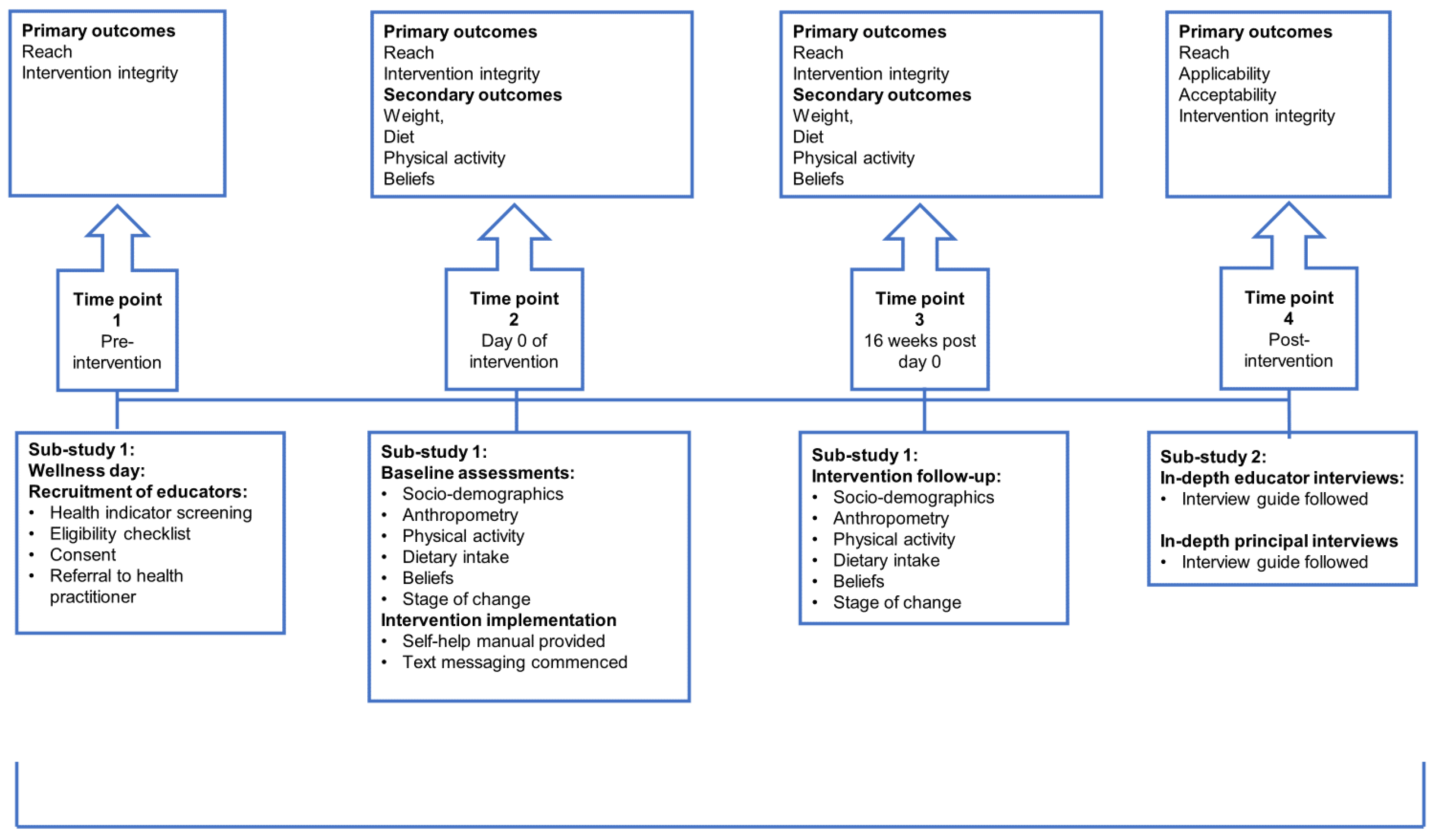 Nutrients 16 03062 g001