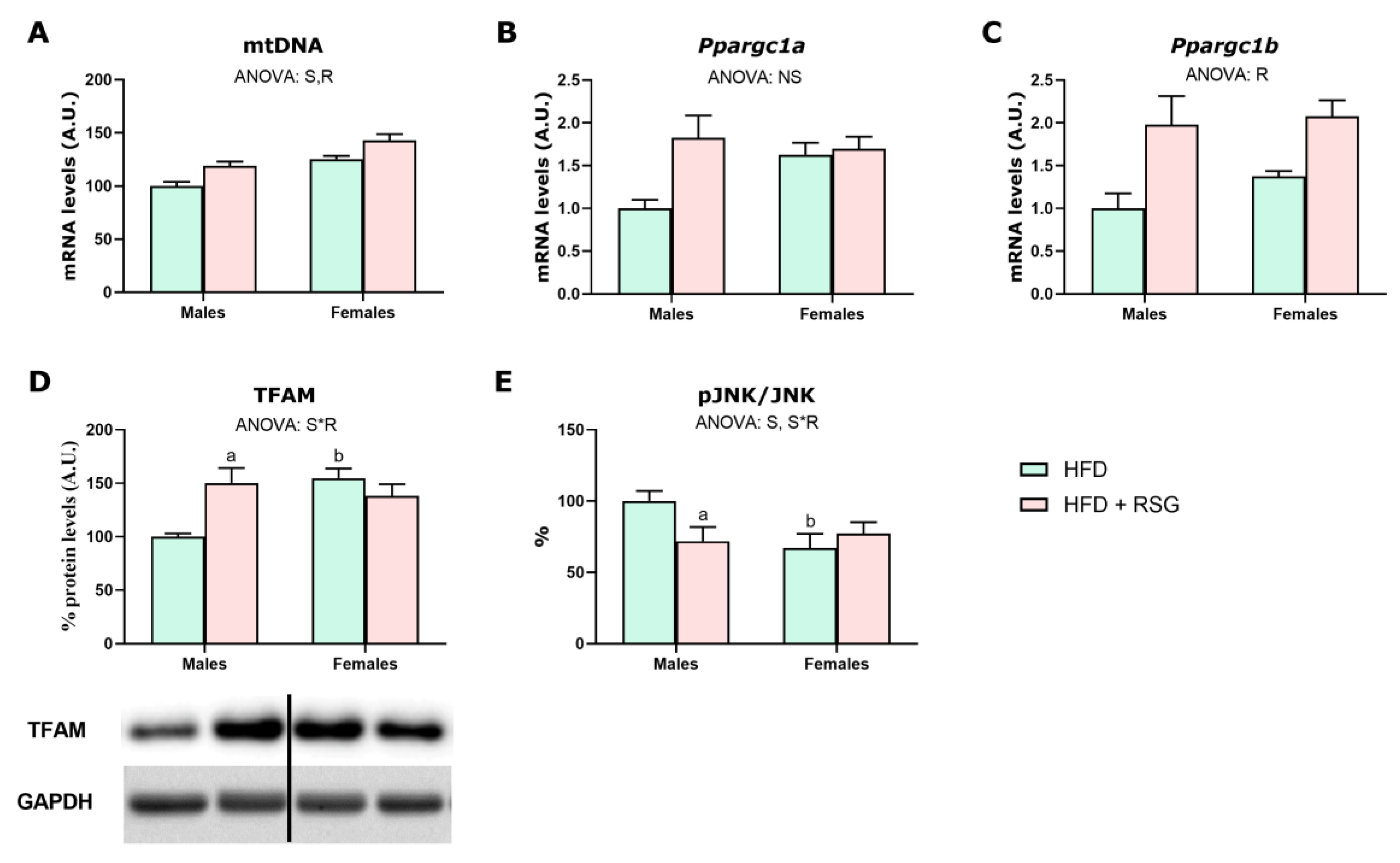 Nutrients 16 03063 g009