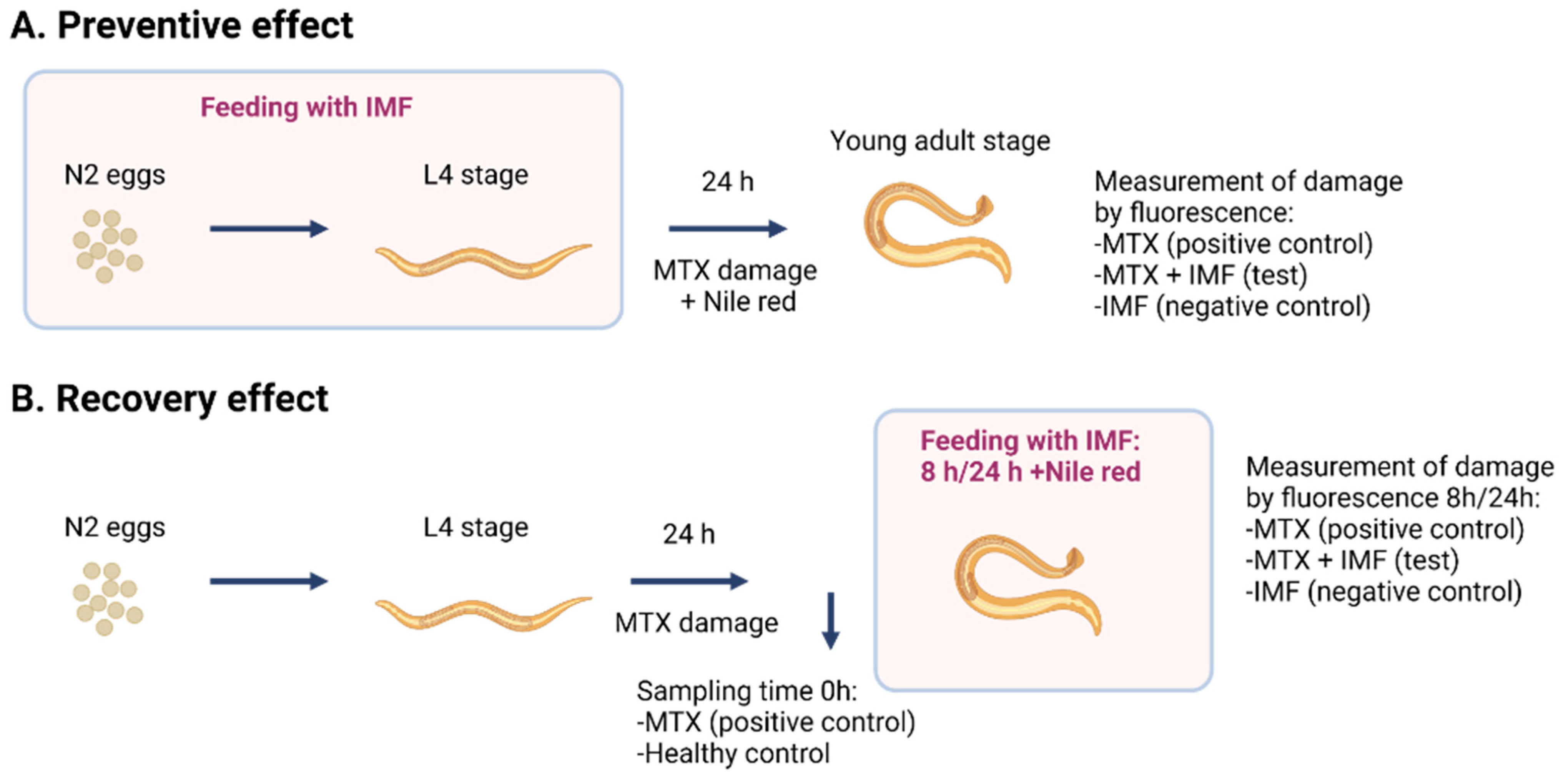 Nutrients 16 03065 g001