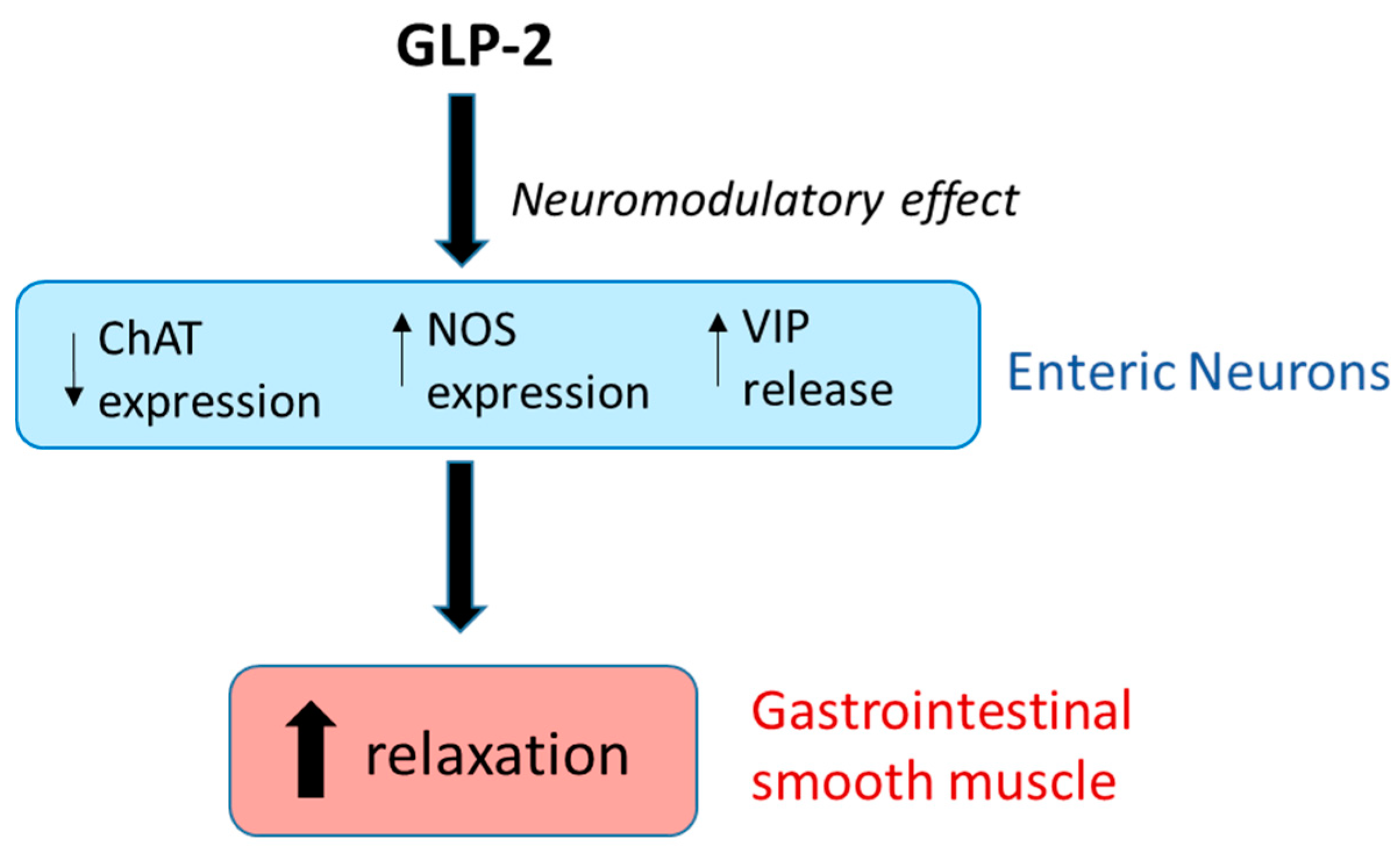 Nutrients 16 03069 g004 Nutrients 16 03069 g004