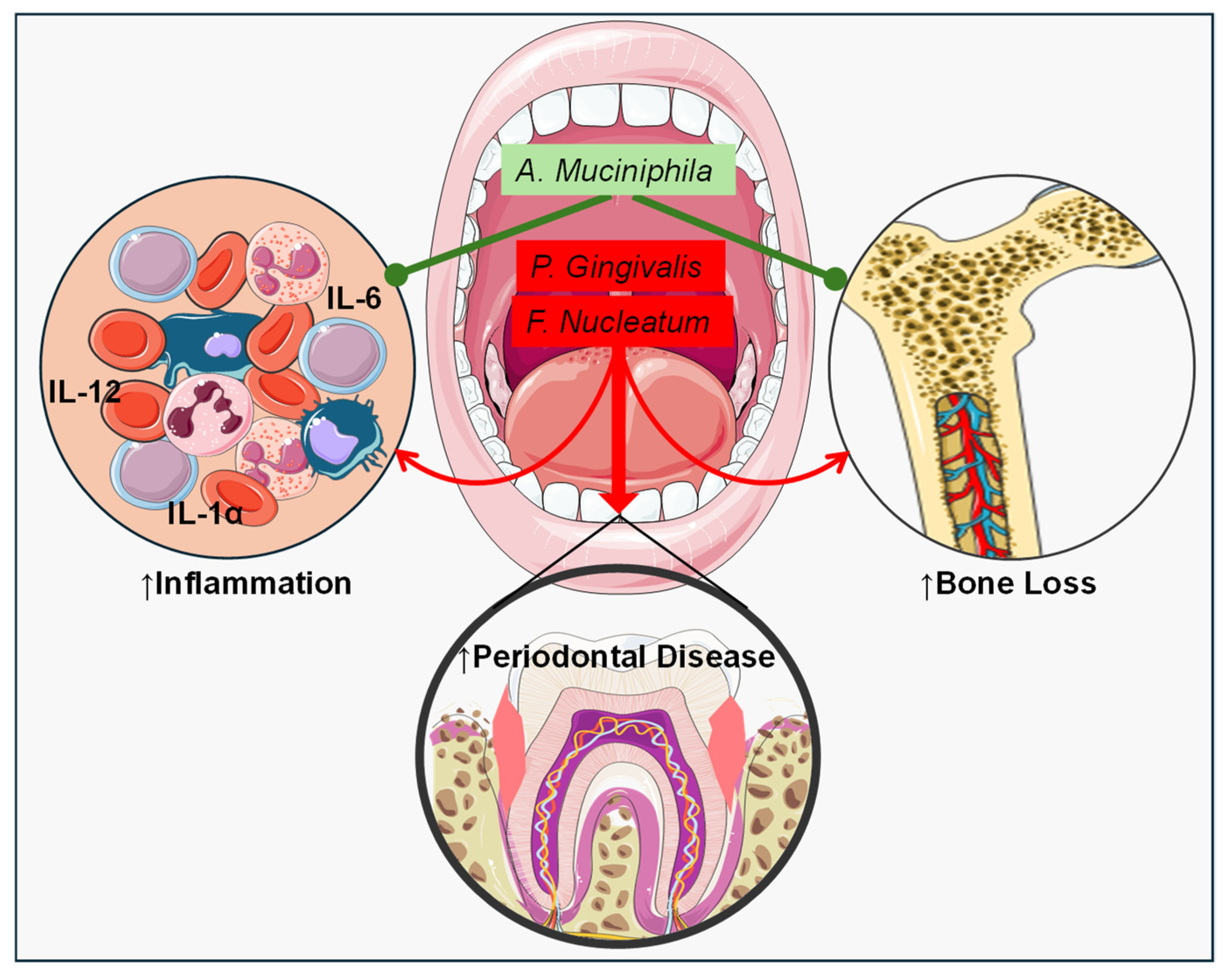Nutrients 16 03075 g003