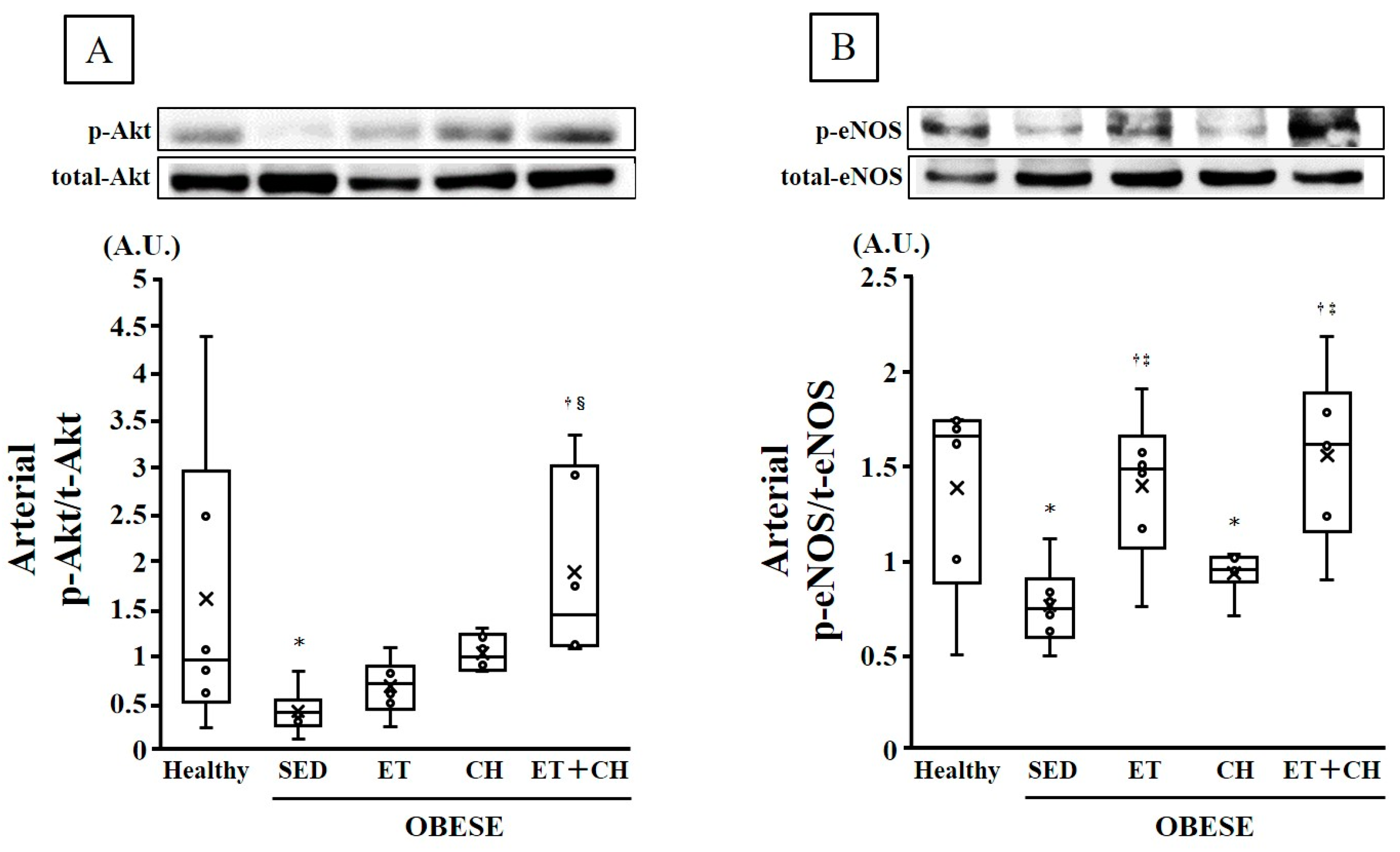 Nutrients 16 03080 g002