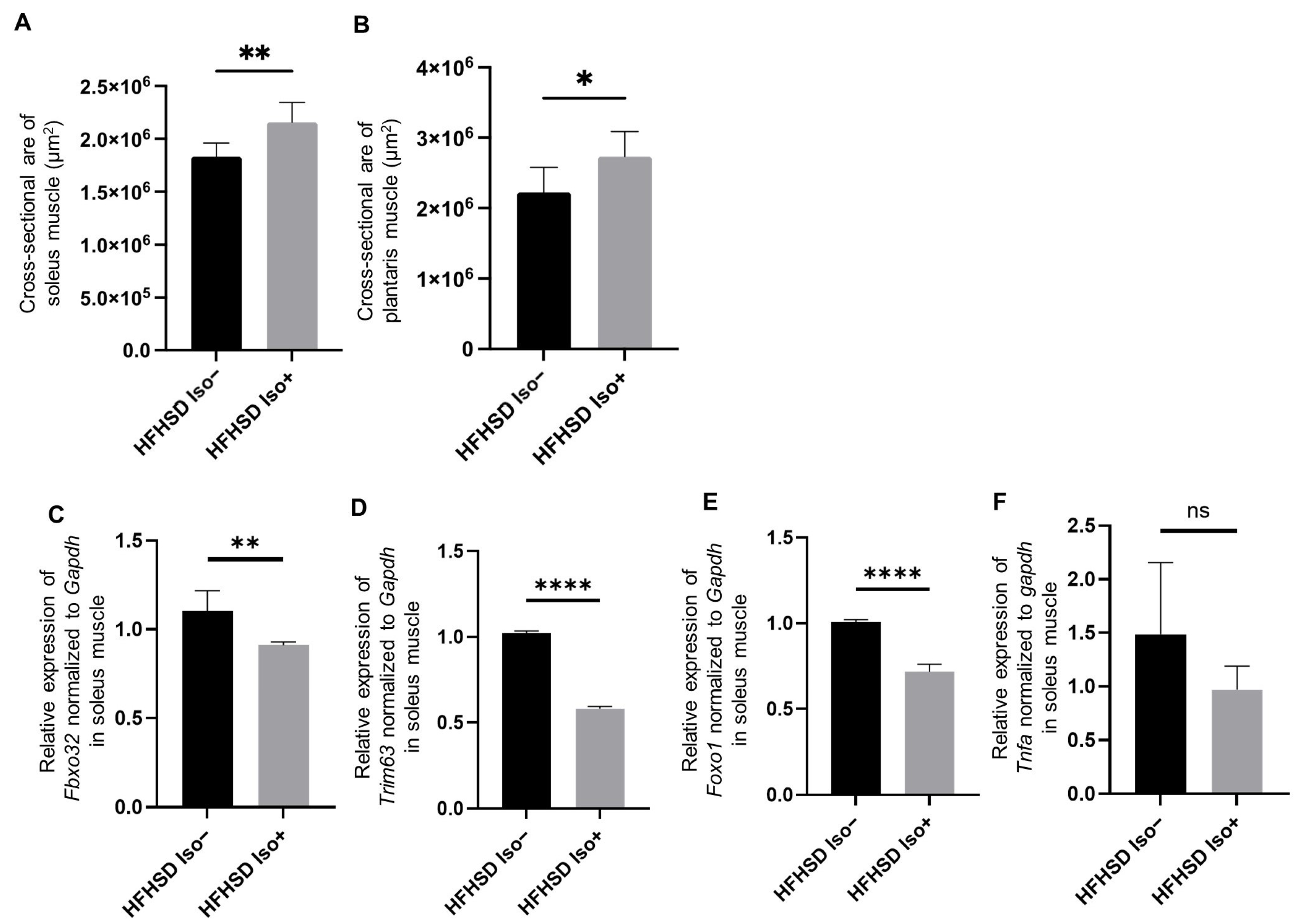Nutrients 16 03084 g002 Nutrients 16 03084 g002