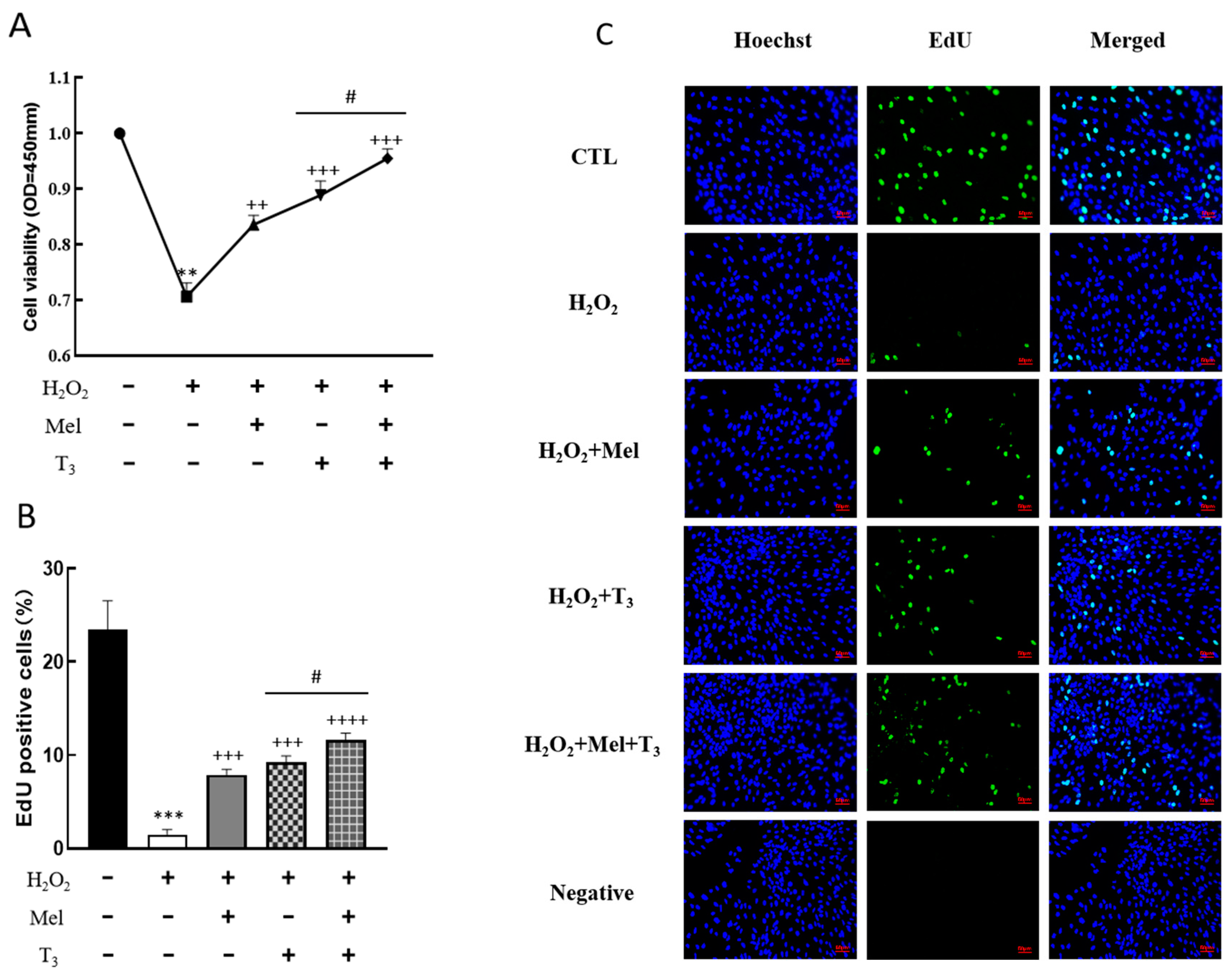 Nutrients 16 03085 g003