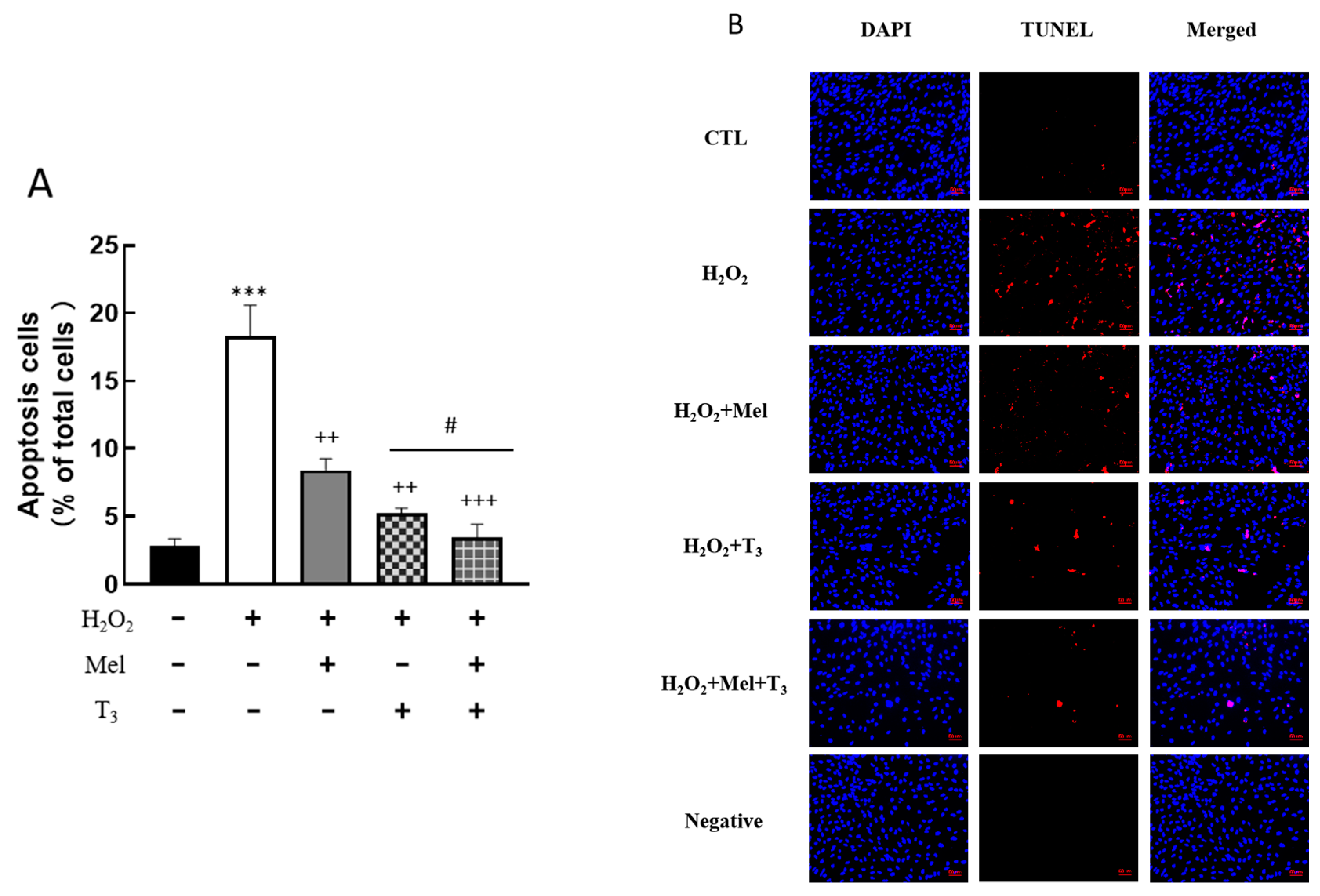 Nutrients 16 03085 g004