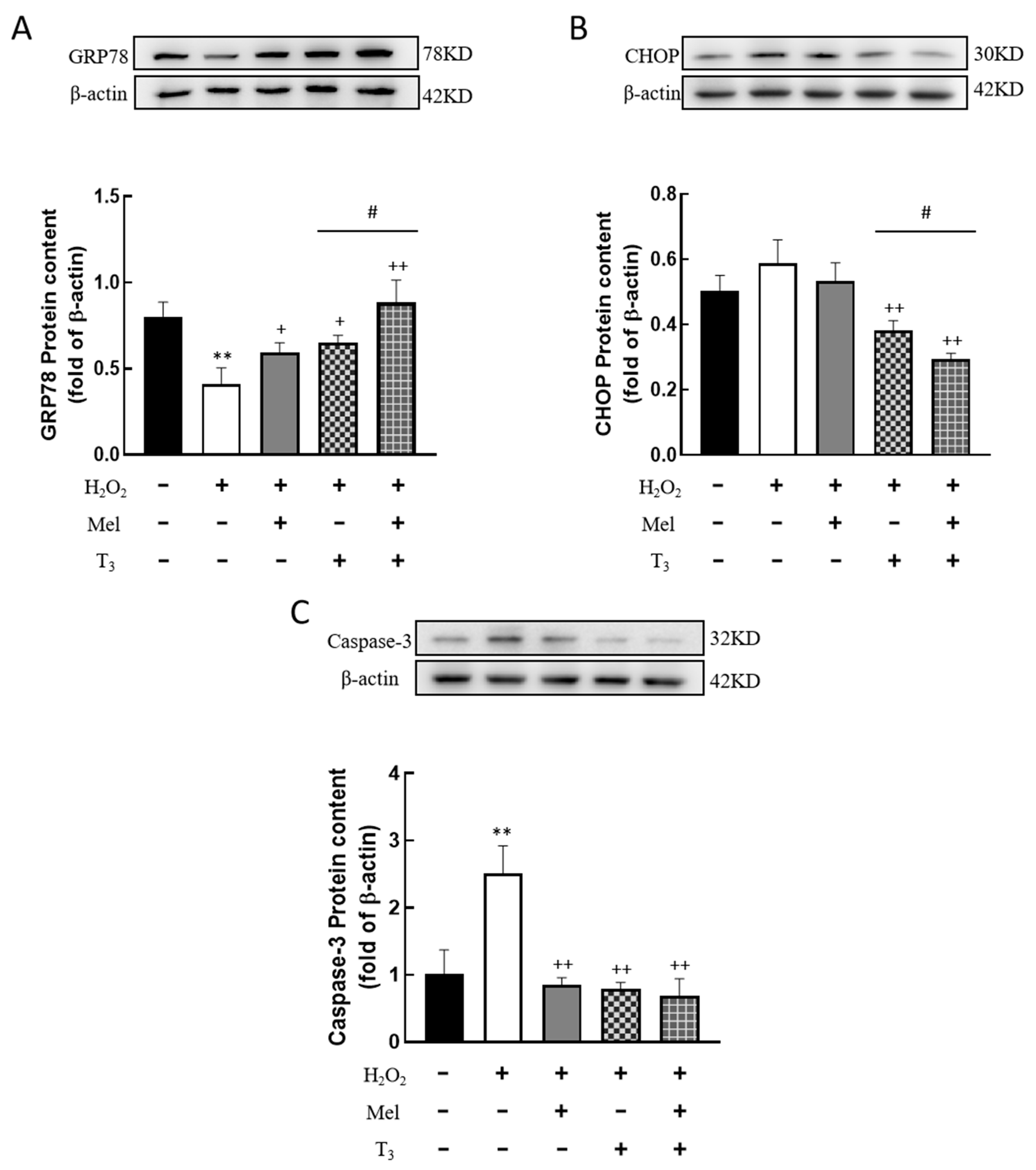 Nutrients 16 03085 g006