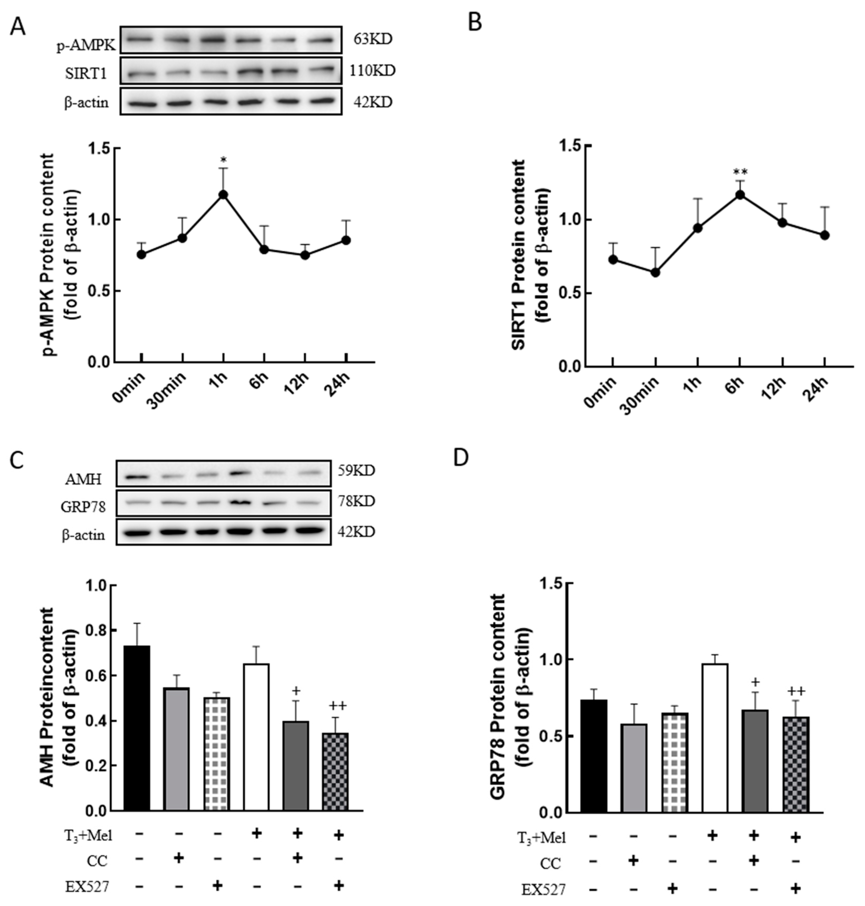 Nutrients 16 03085 g008