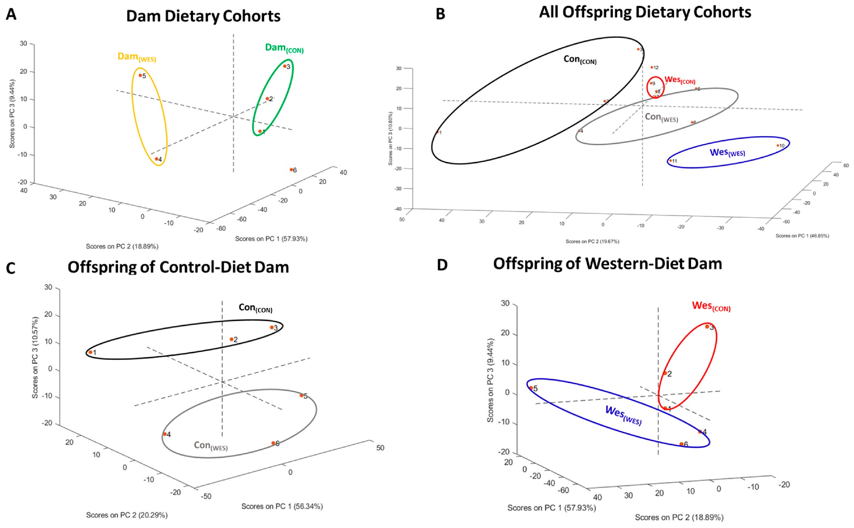 Nutrients 16 03086 g002