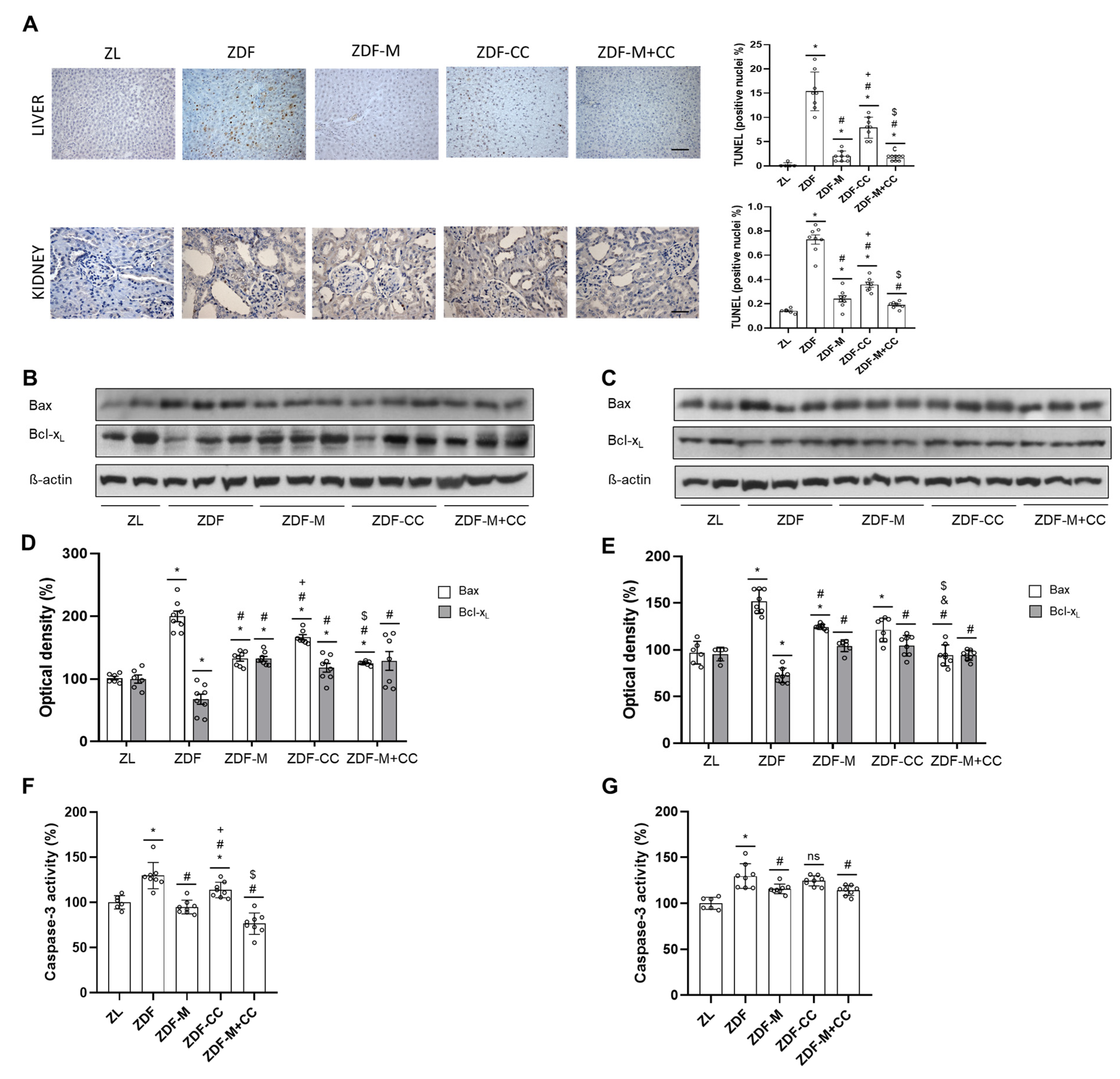 Nutrients 16 03087 g002