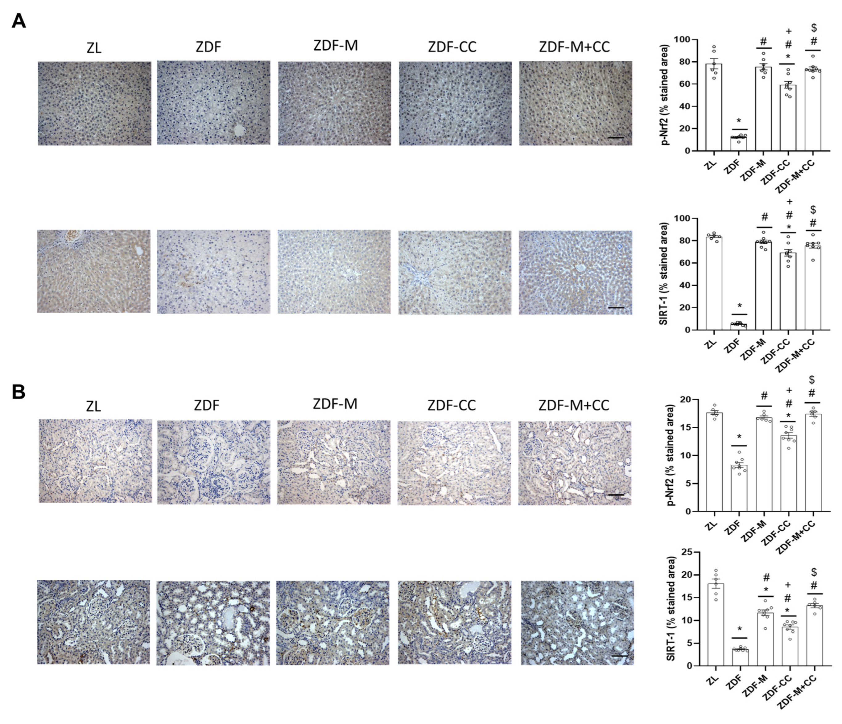 Nutrients 16 03087 g004