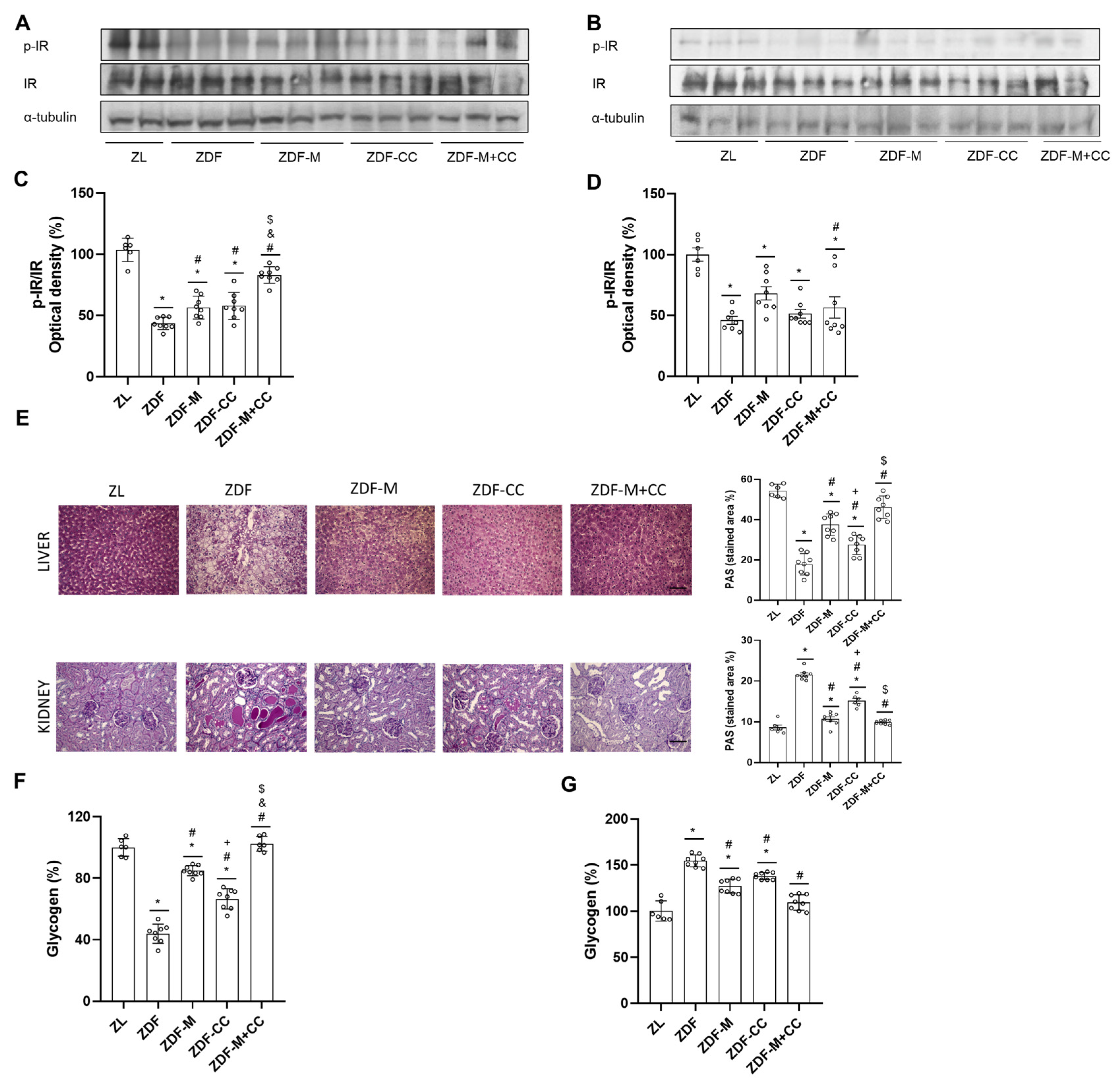 Nutrients 16 03087 g005