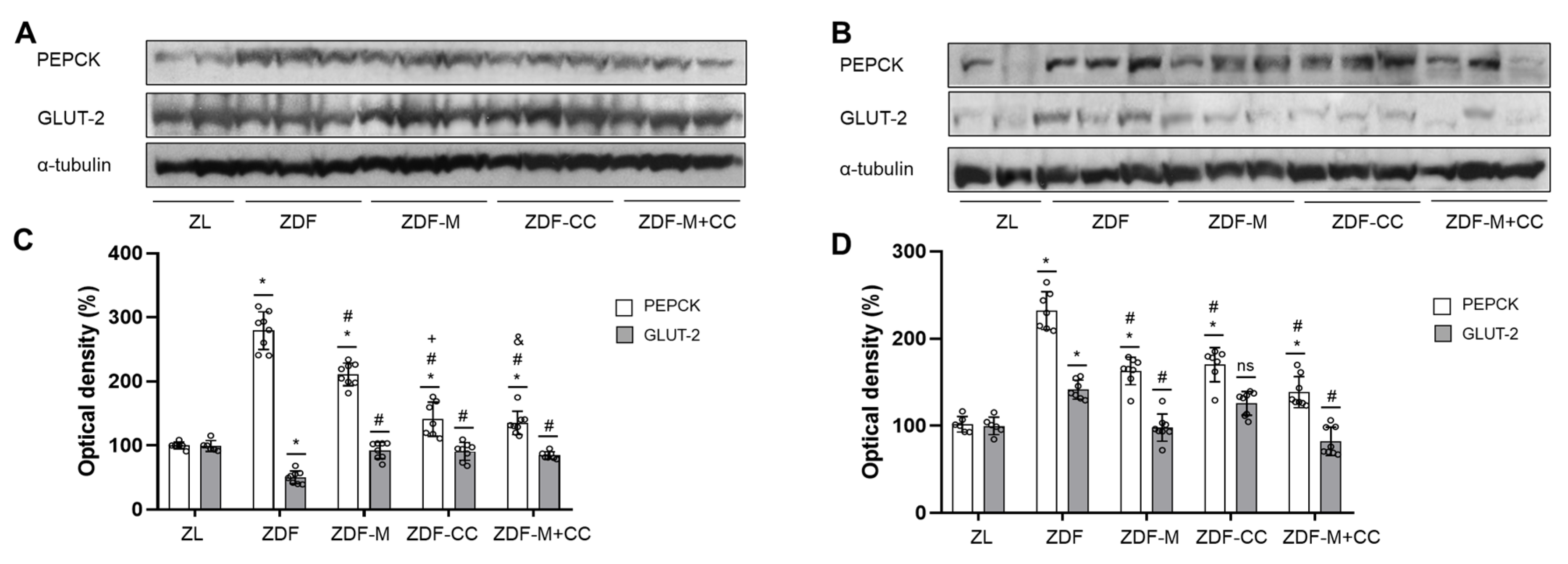 Nutrients 16 03087 g006