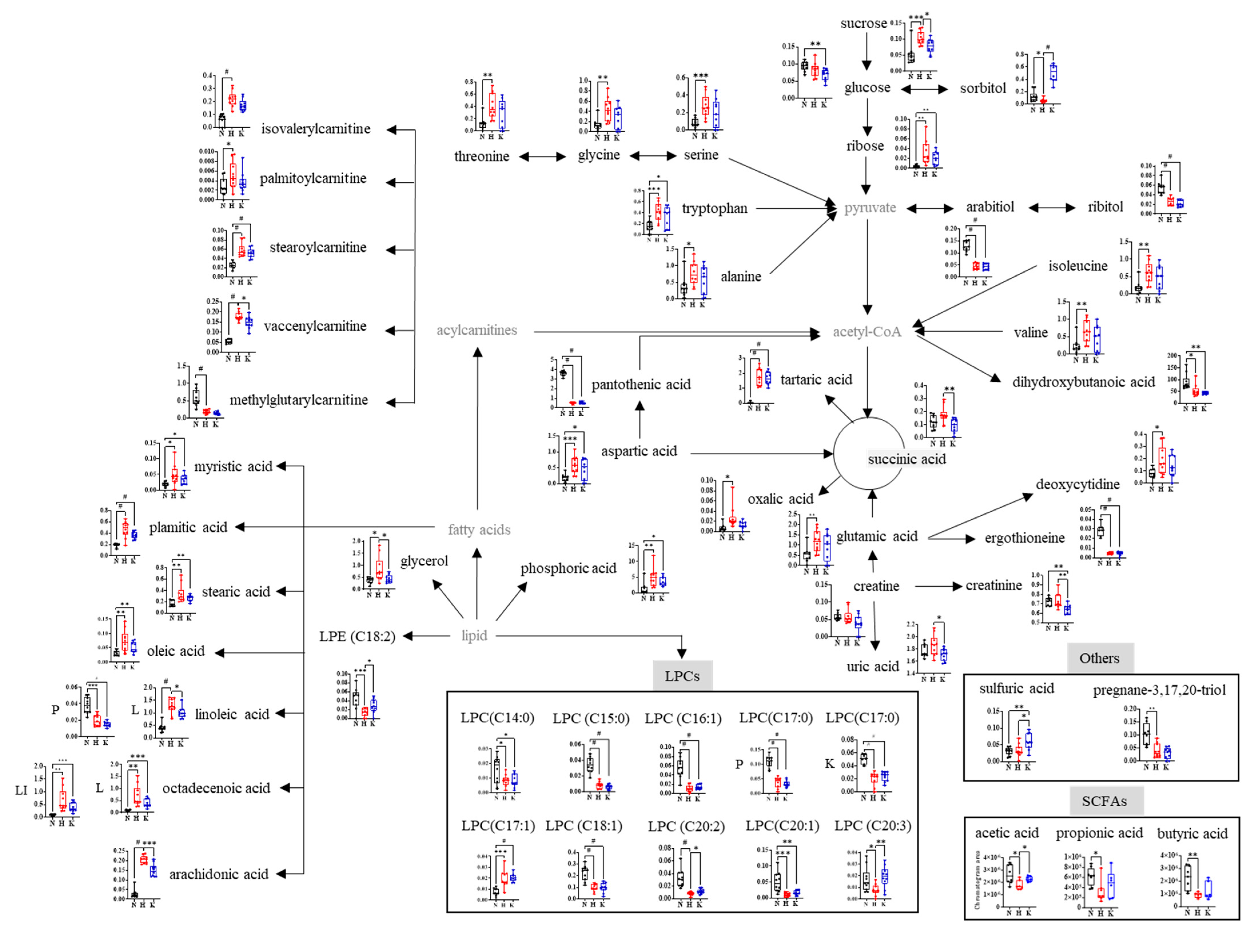Nutrients 16 03095 g003