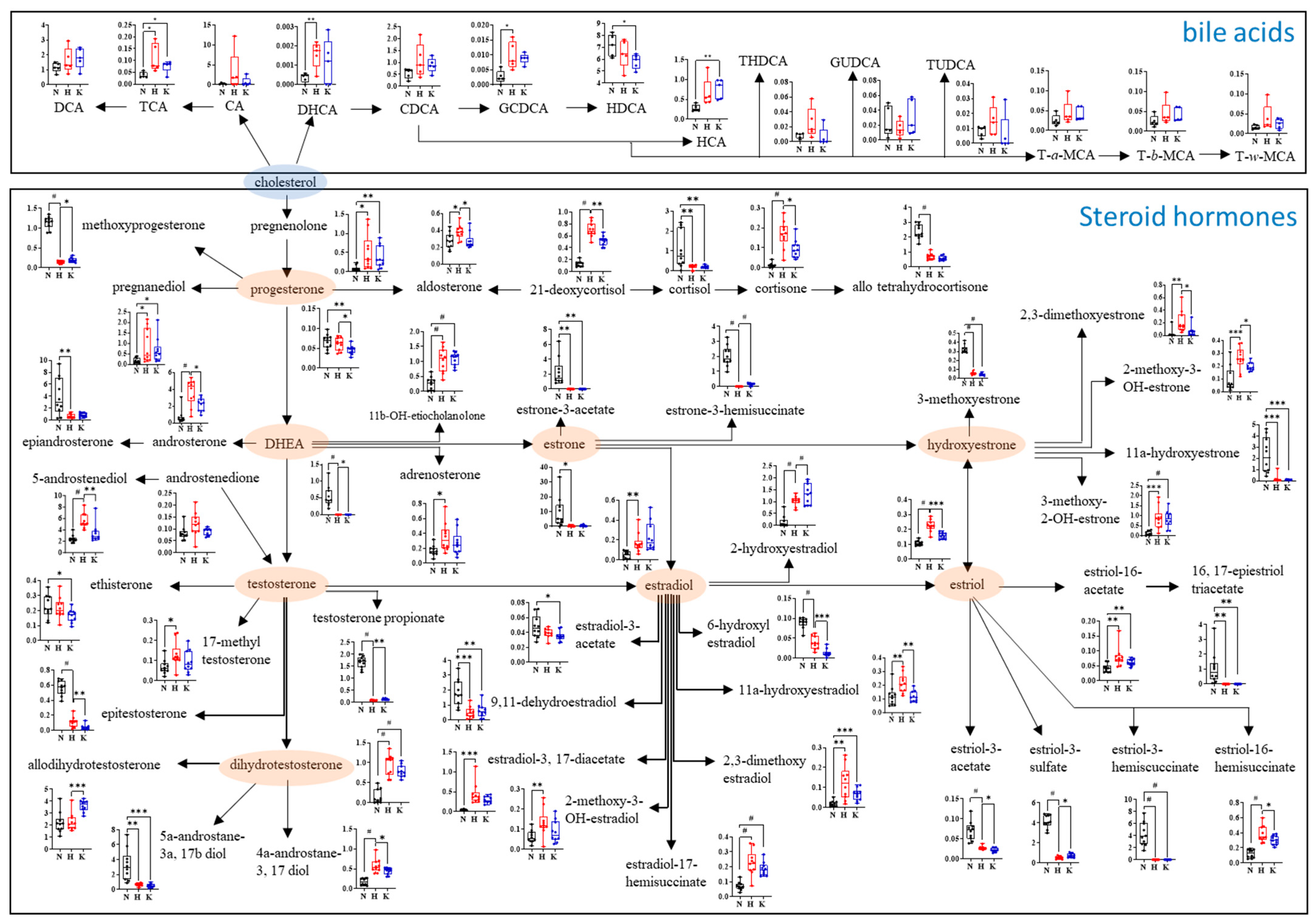 Nutrients 16 03095 g004