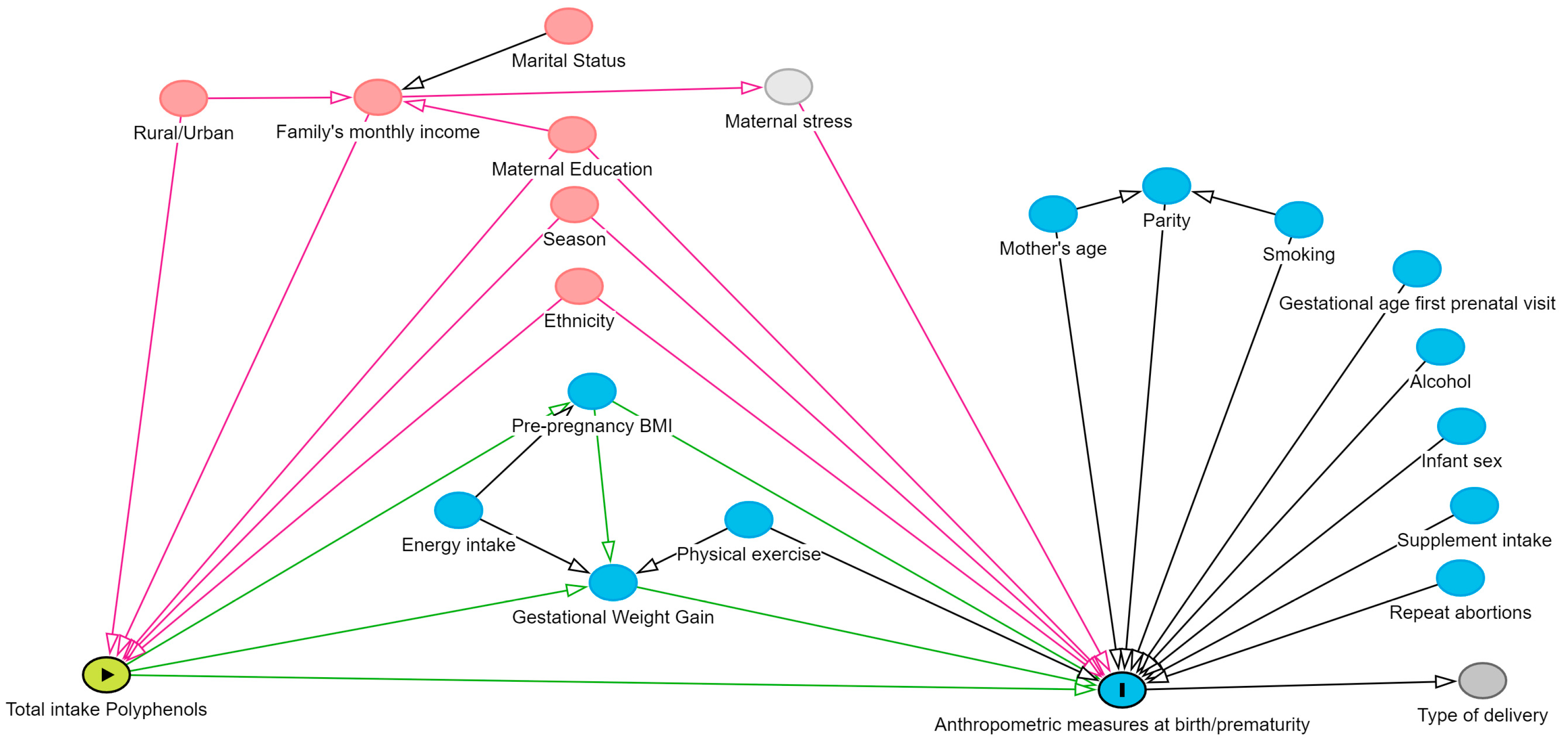 Nutrients 16 03096 g001