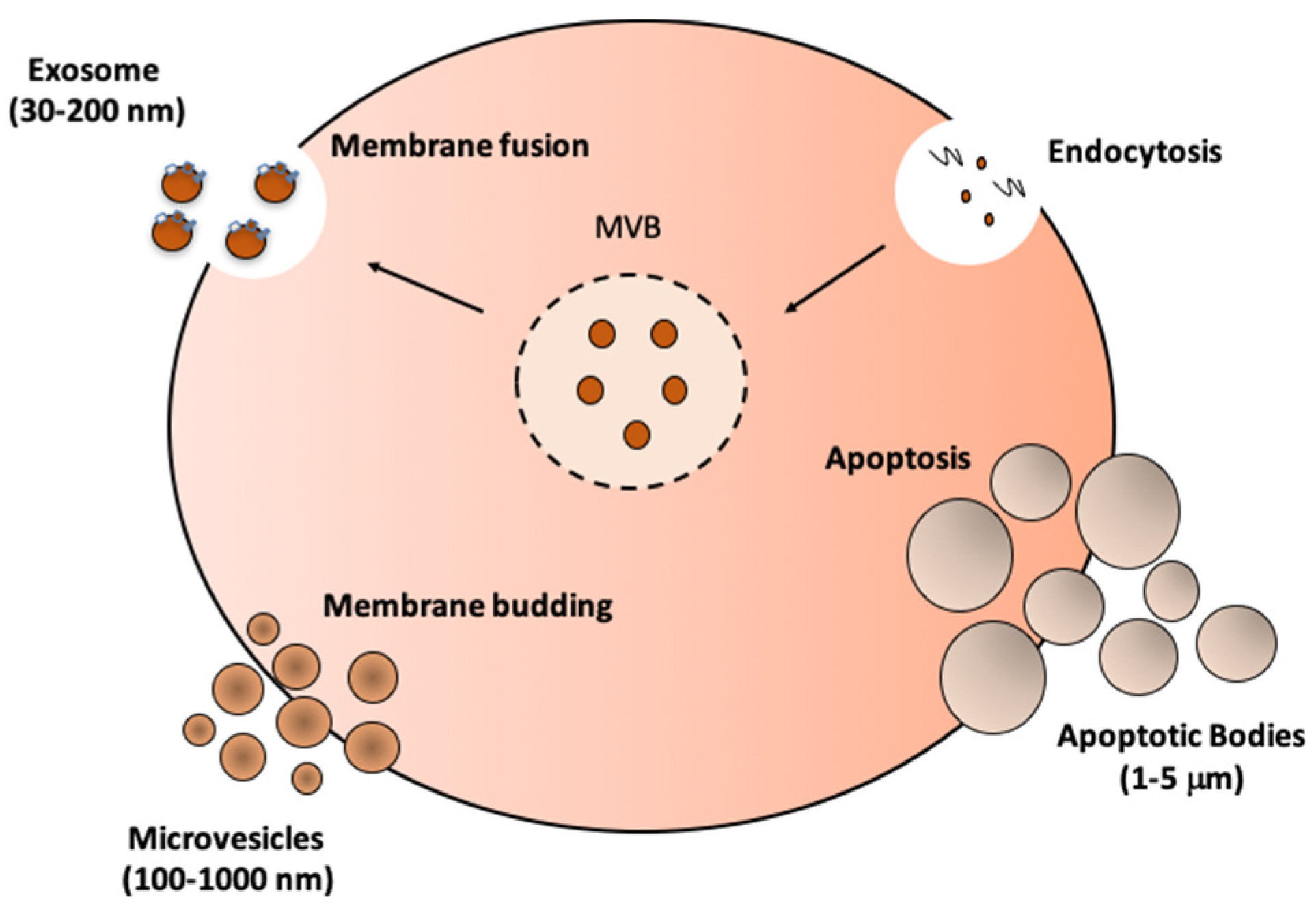 Nutrients 16 03097 g001