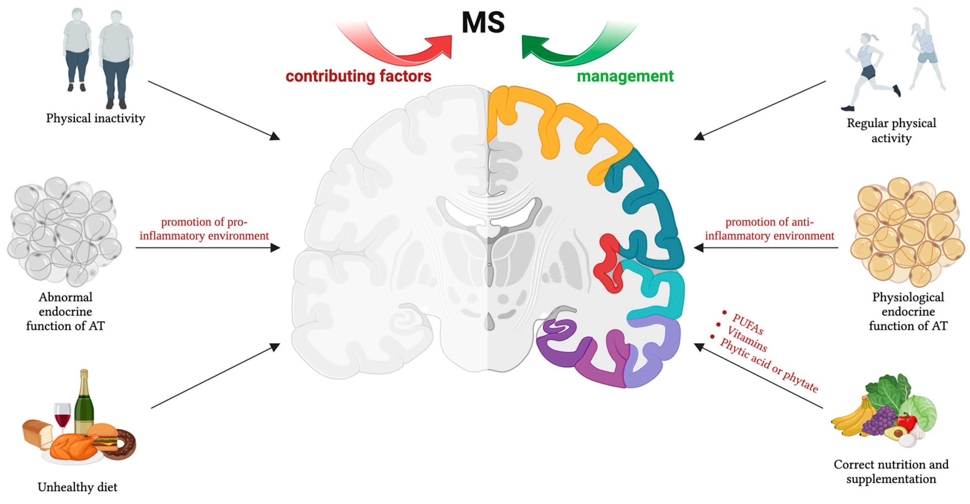 Nutrients 16 03100 g001